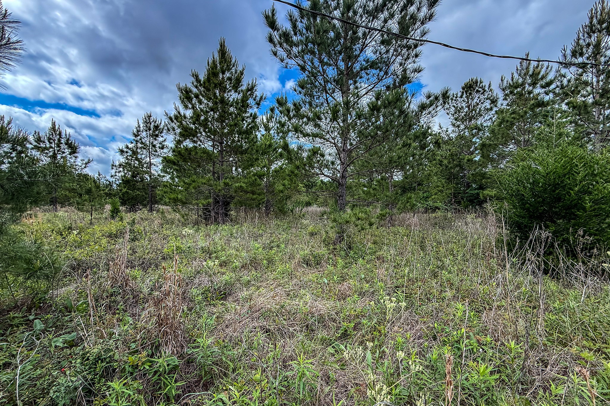 20.49 Acres State Highway 19 Property Photo 12