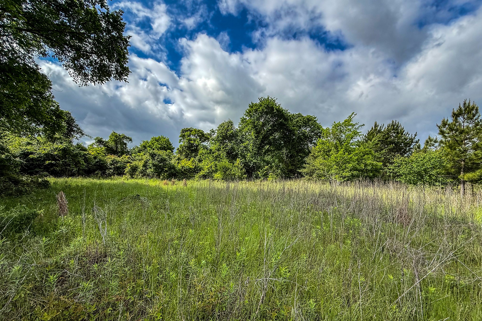 20.49 Acres State Highway 19 Property Photo 15