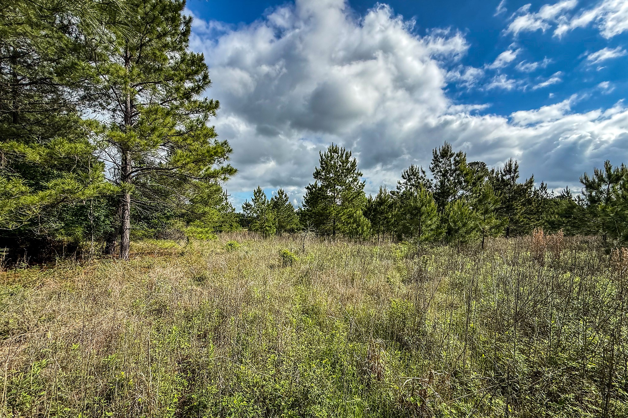 20.49 Acres State Highway 19 Property Photo 16