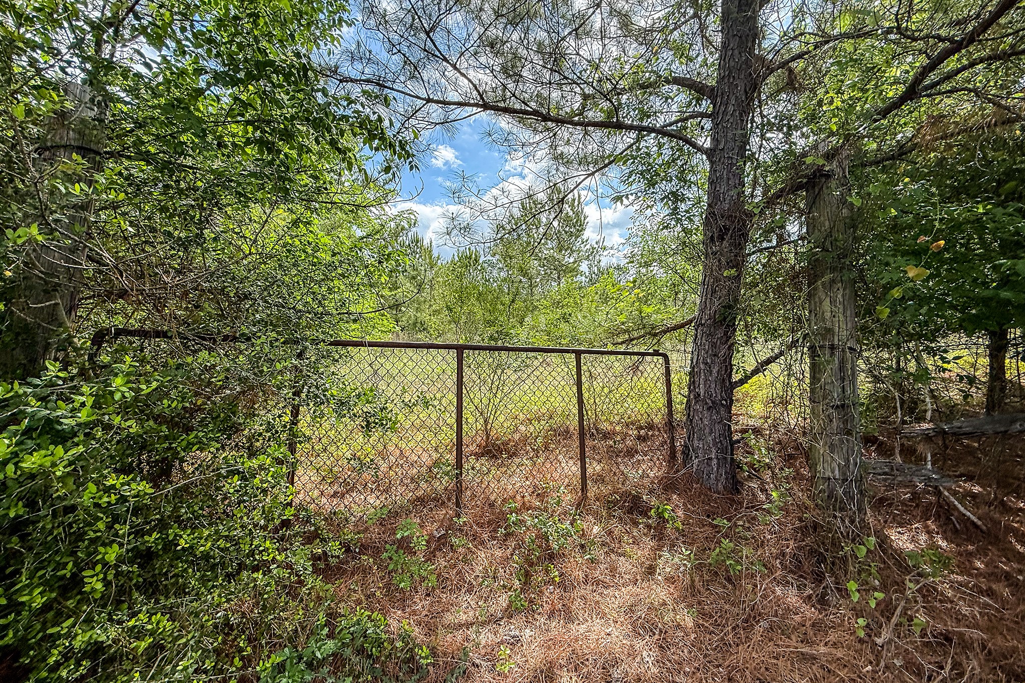 20.49 Acres State Highway 19 Property Photo 17