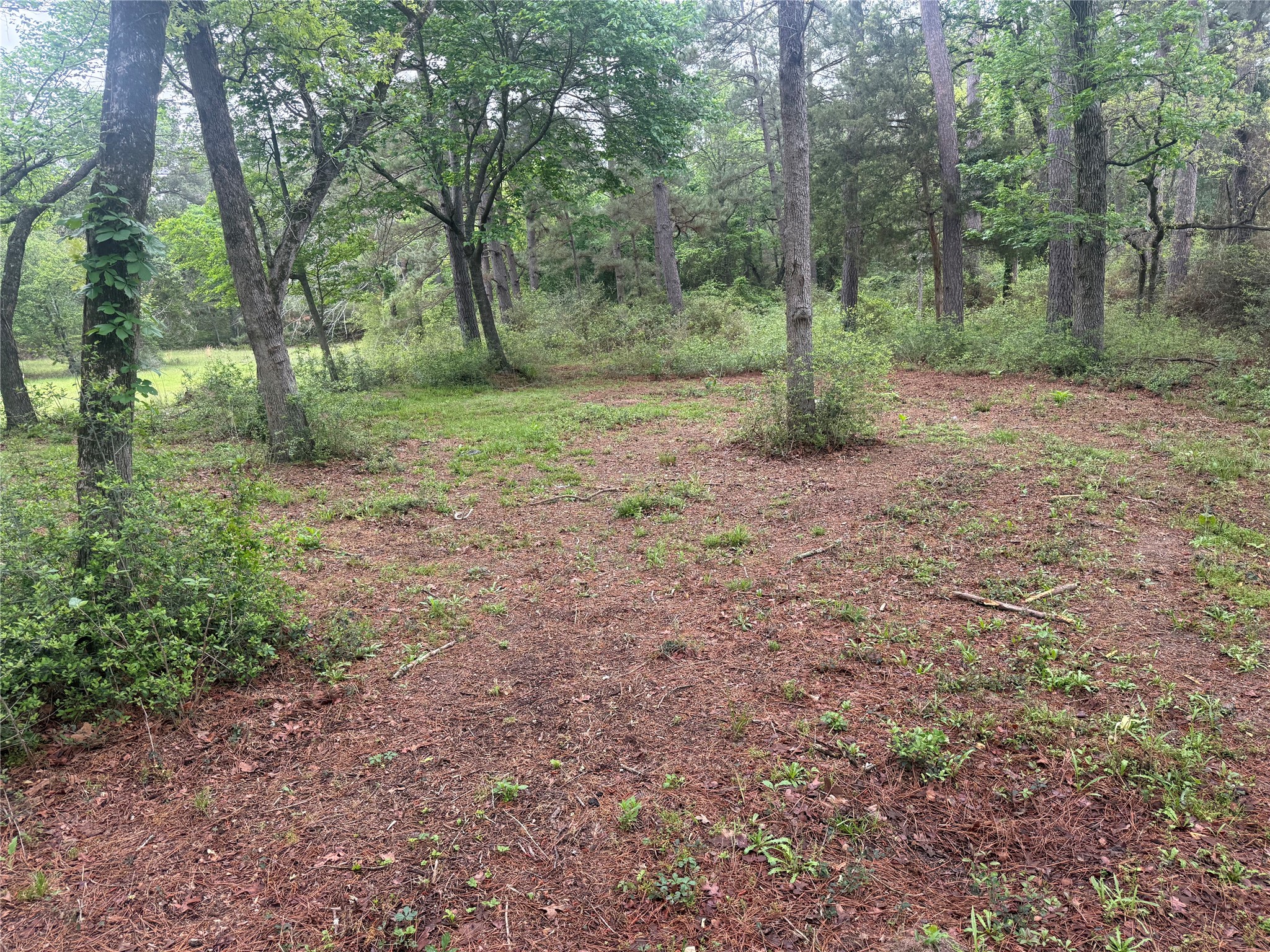 5312 Private Road 2065 Property Photo 44