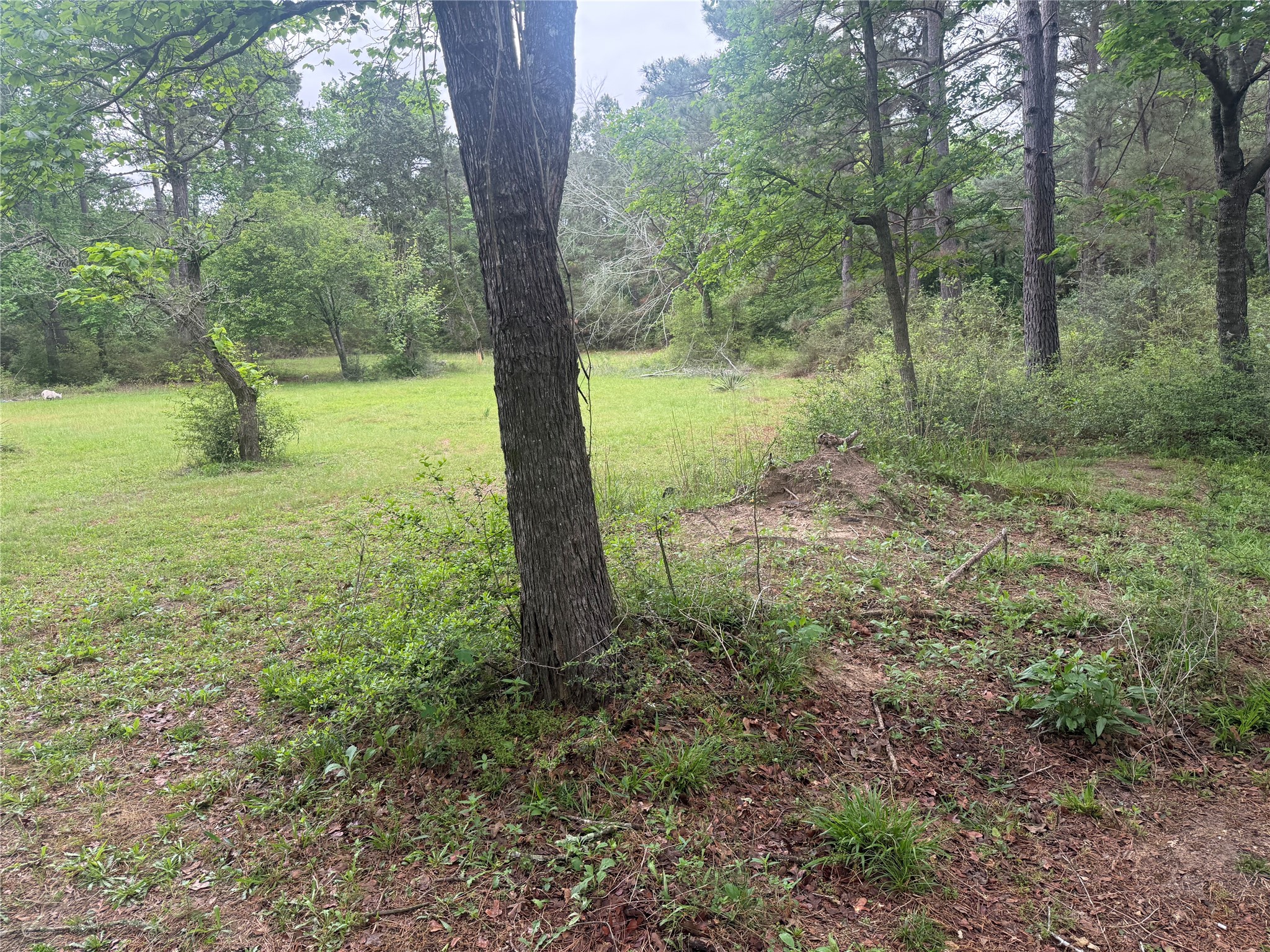 5312 Private Road 2065 Property Photo 46