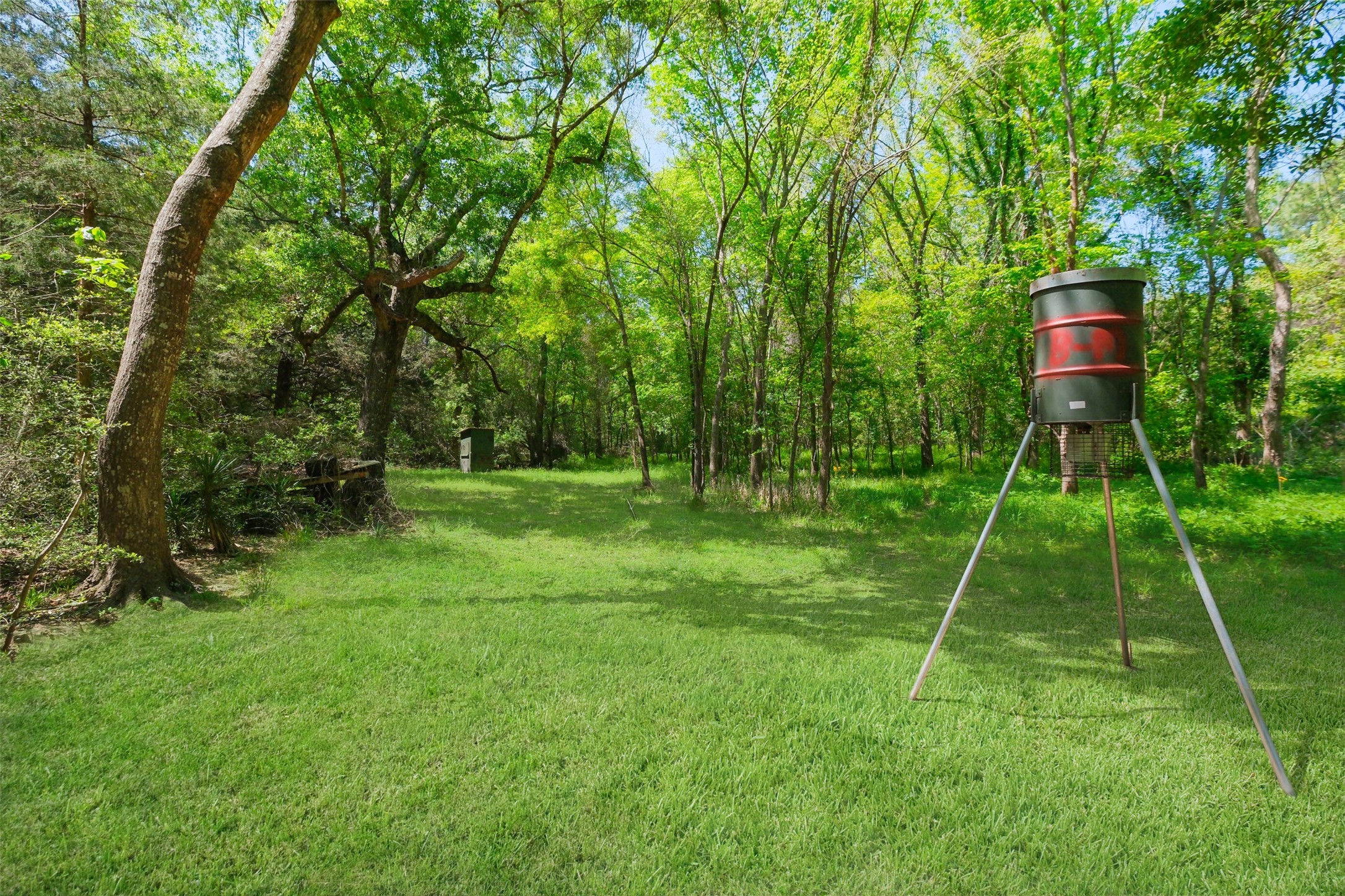 24718 Squirrel Road Property Photo