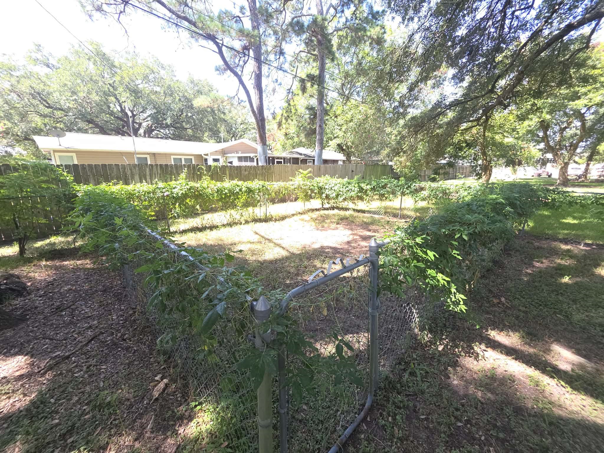 3112 15th Street Property Photo 19