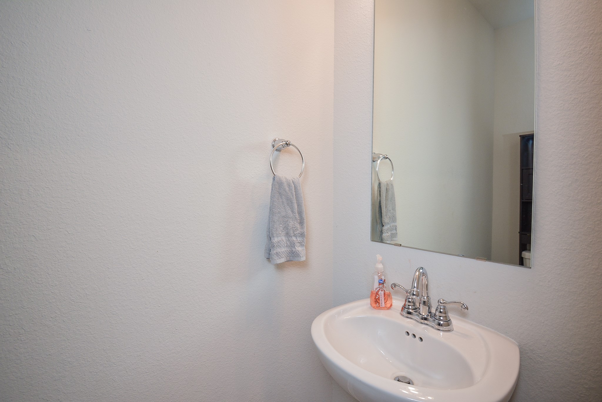 26523 Hypatia Trace Property Photo 39