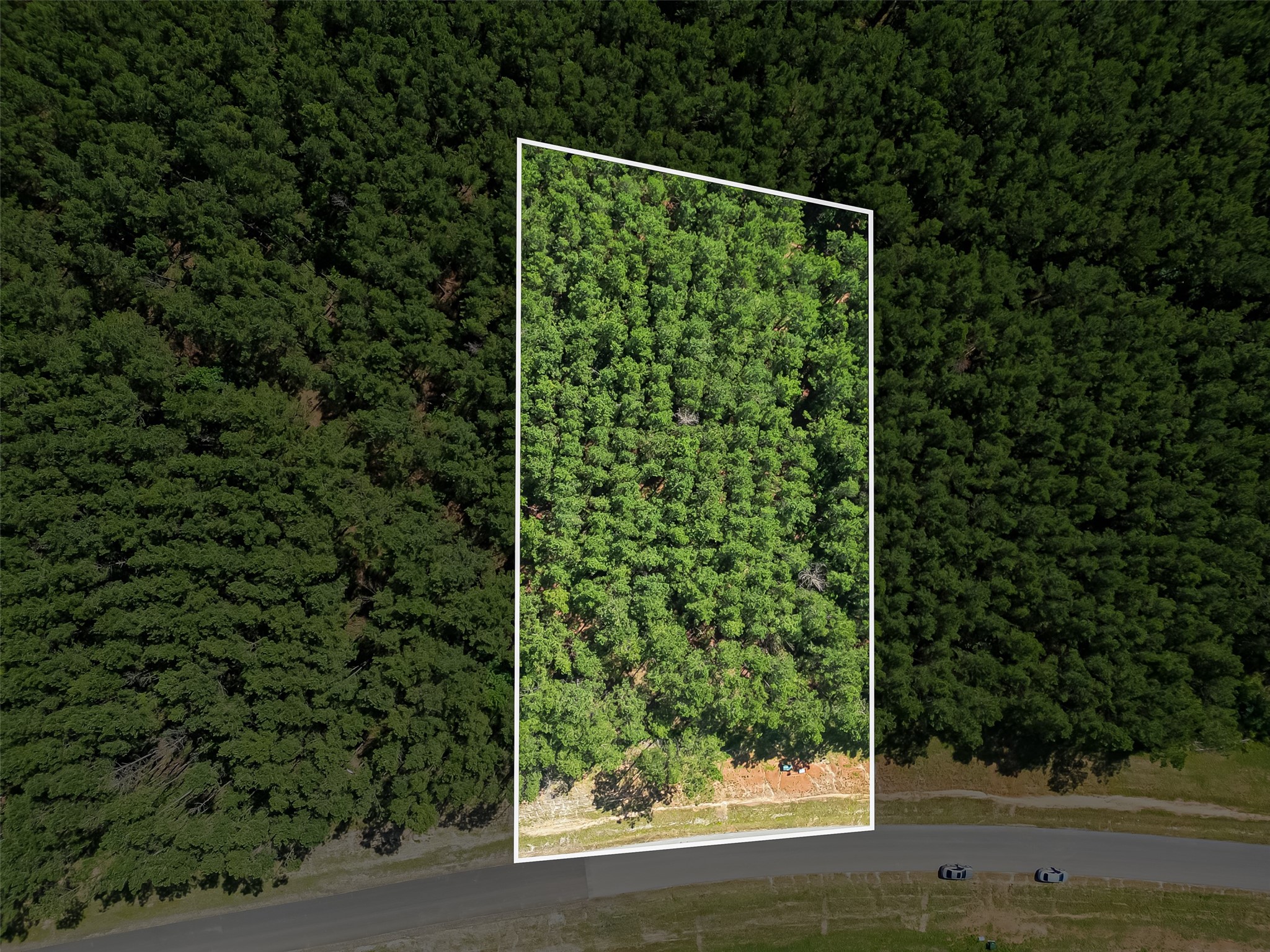 15831 Ridge Oak Road Property Photo 1