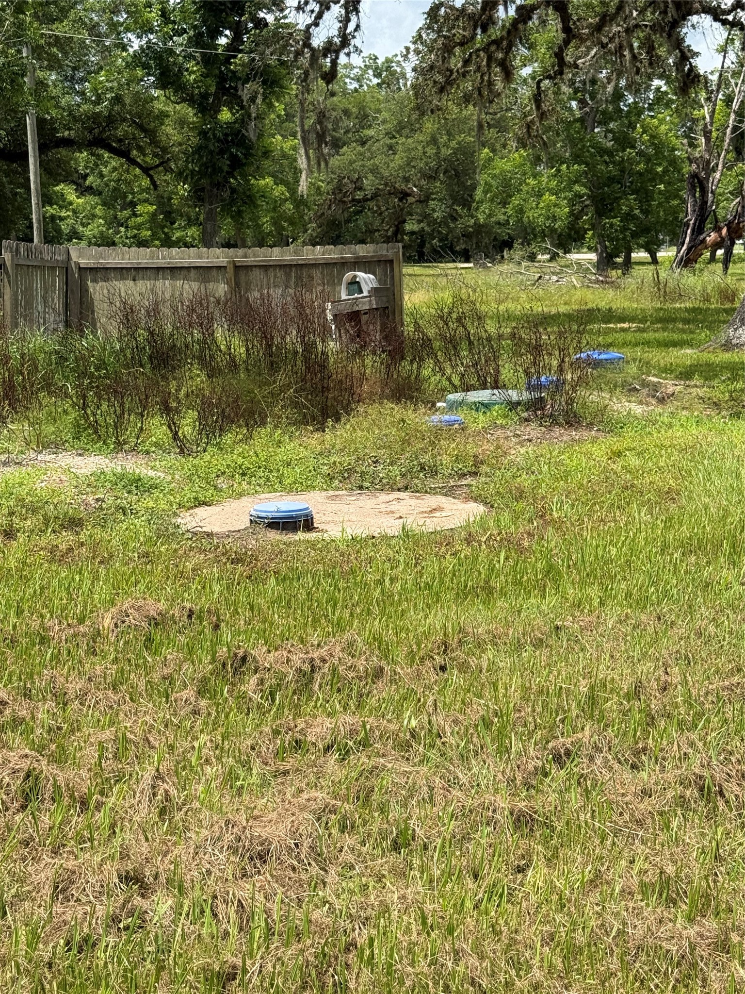 9339 Fm 524 Road Property Photo 14