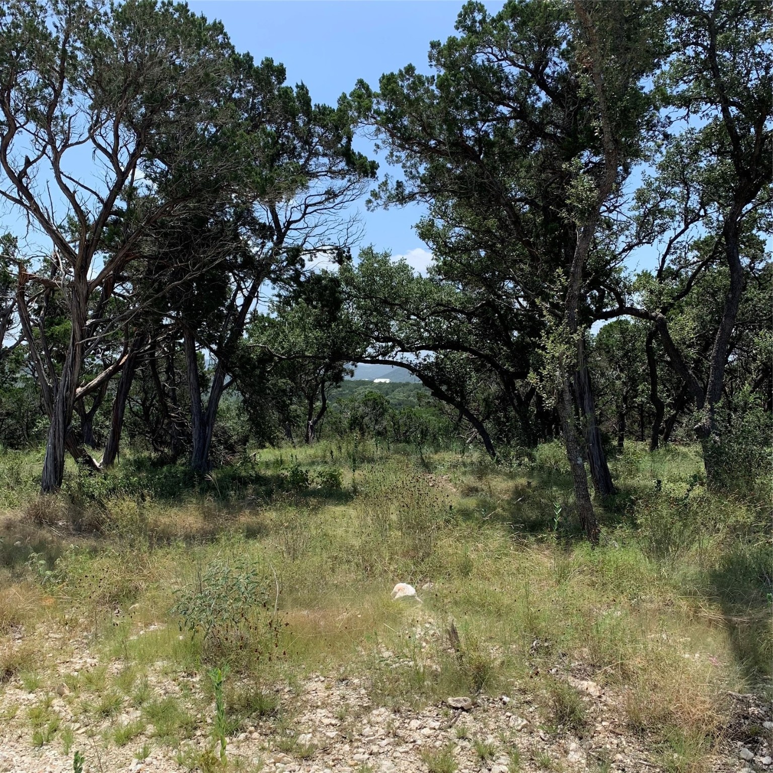 Lot 24b Caprock Ridge Property Photo 1