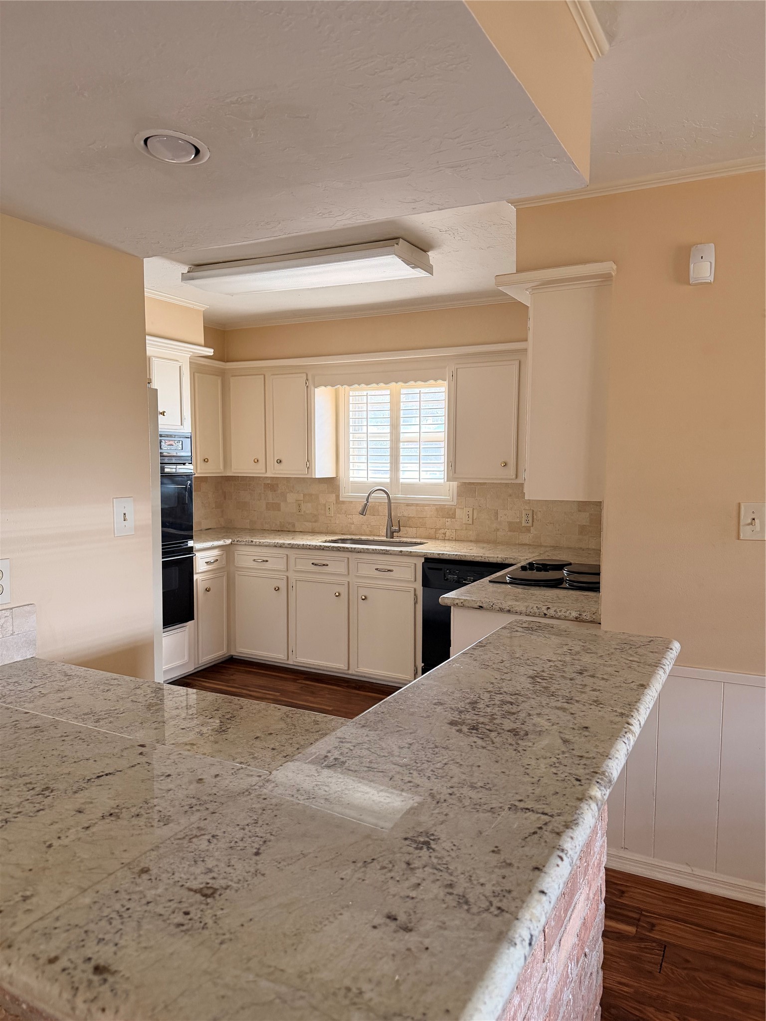 12019 Indian Wells Drive Property Photo 9