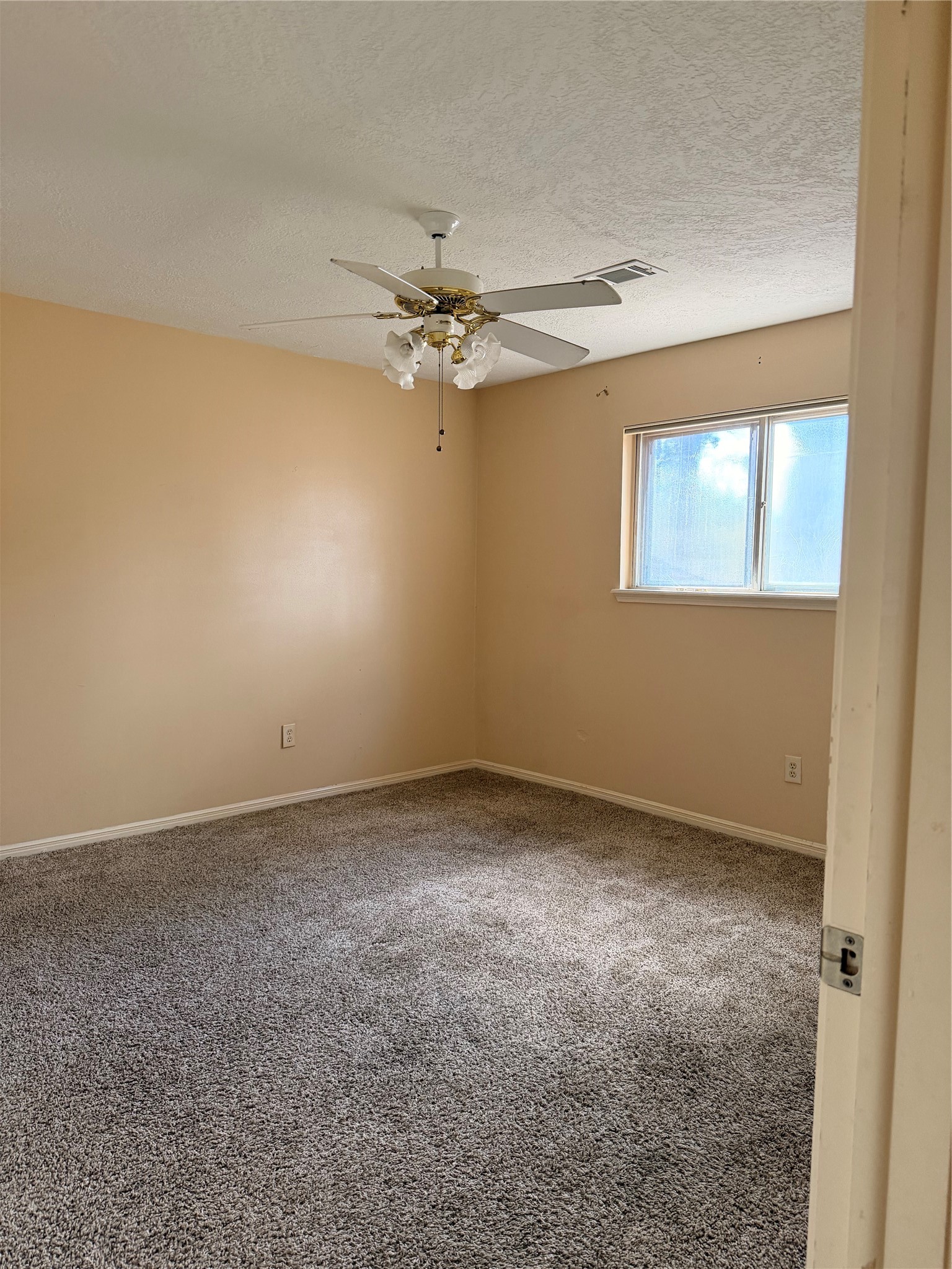 12019 Indian Wells Drive Property Photo 28