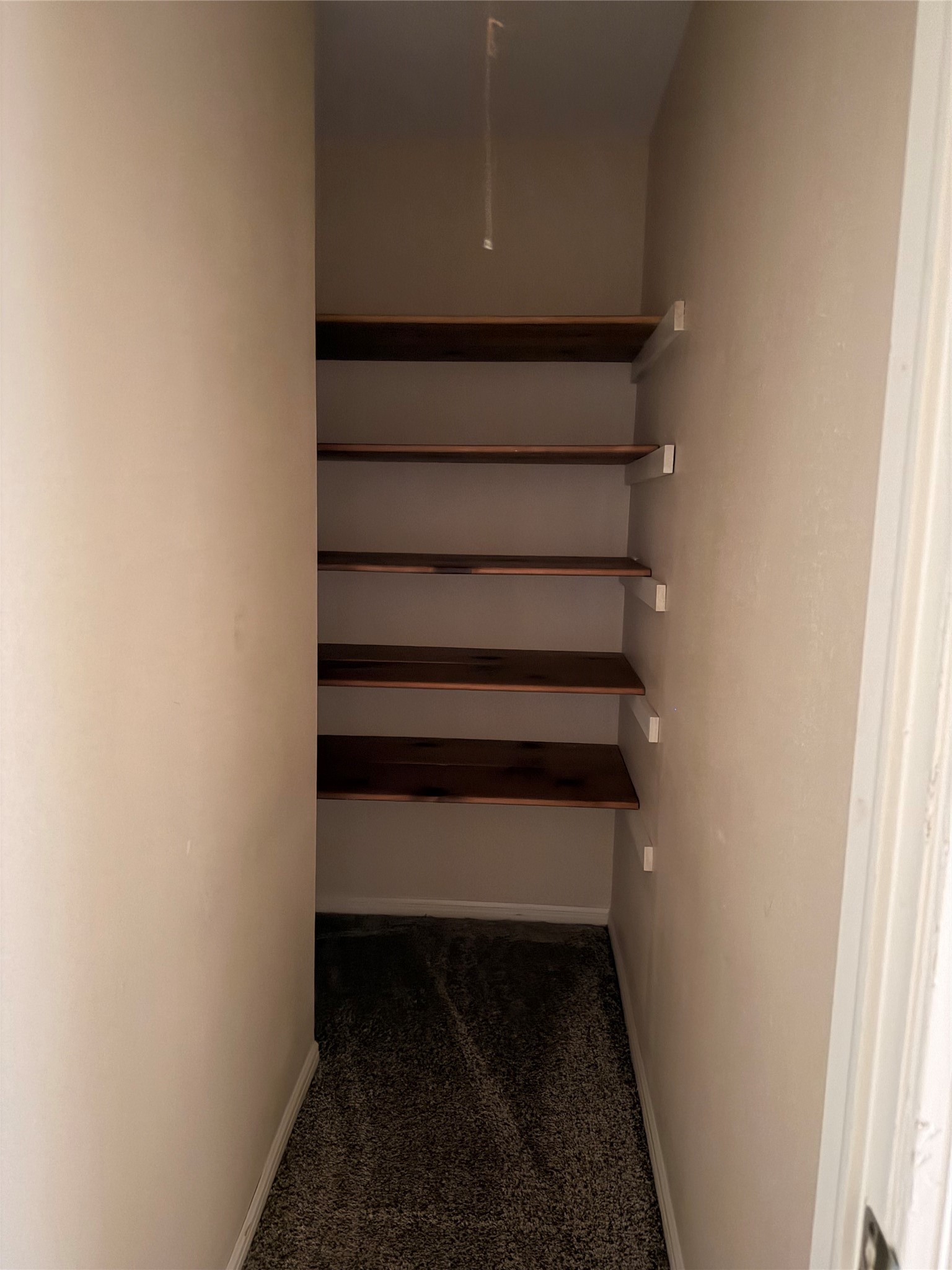 12019 Indian Wells Drive Property Photo 29