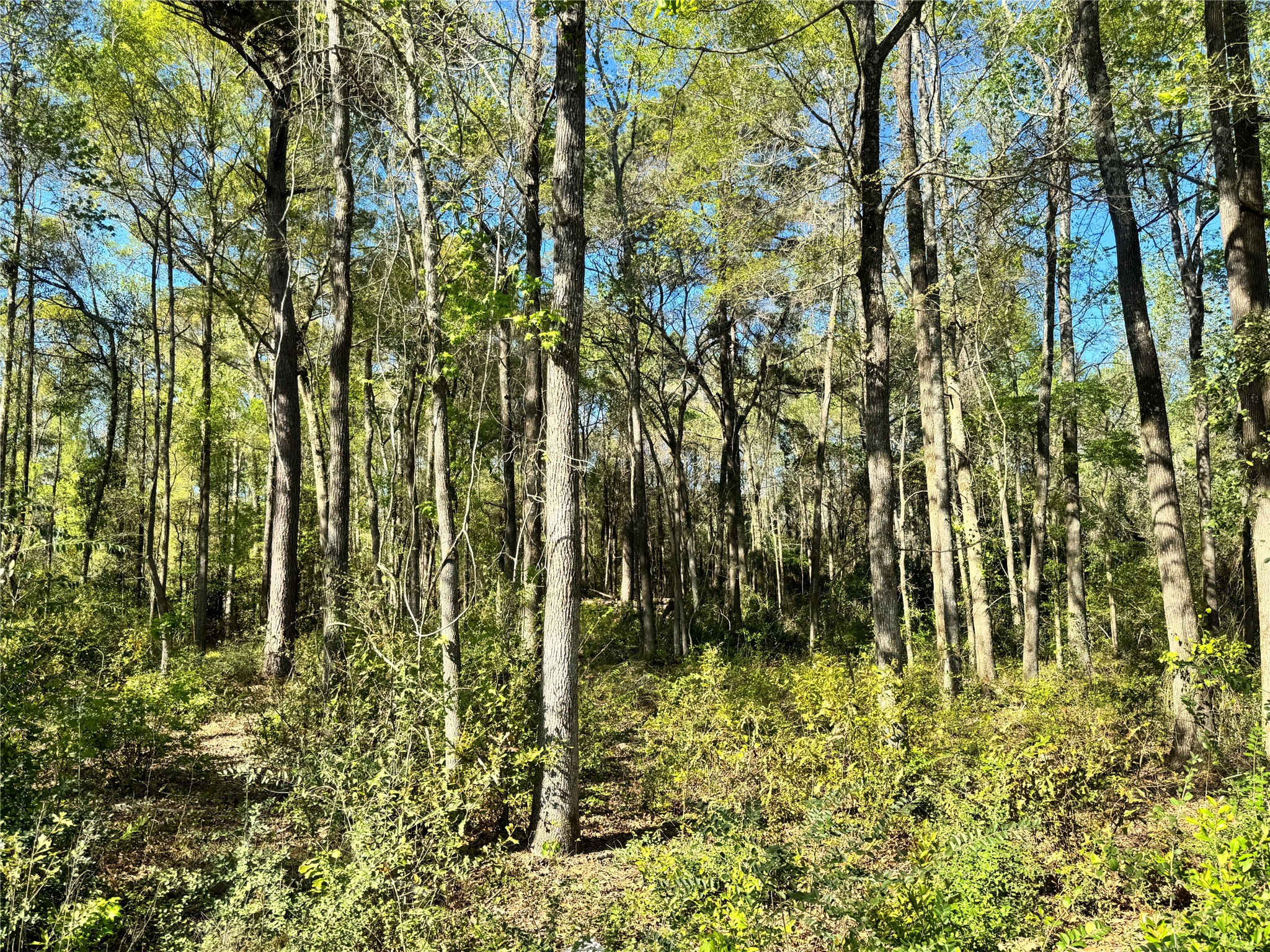 Tbd Railroad Avenue Property Photo