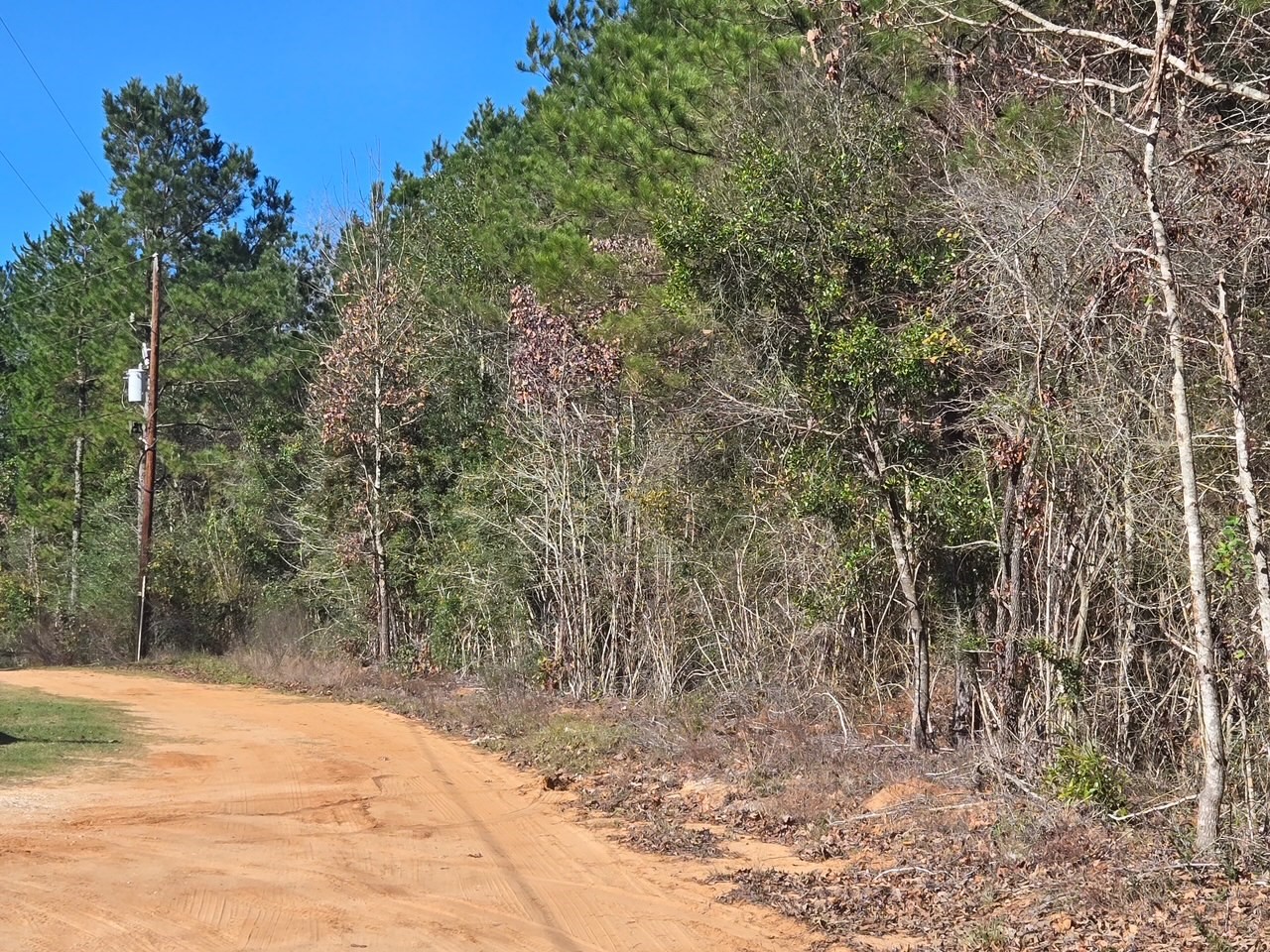 Tbd Private Road 5020 Property Photo 2