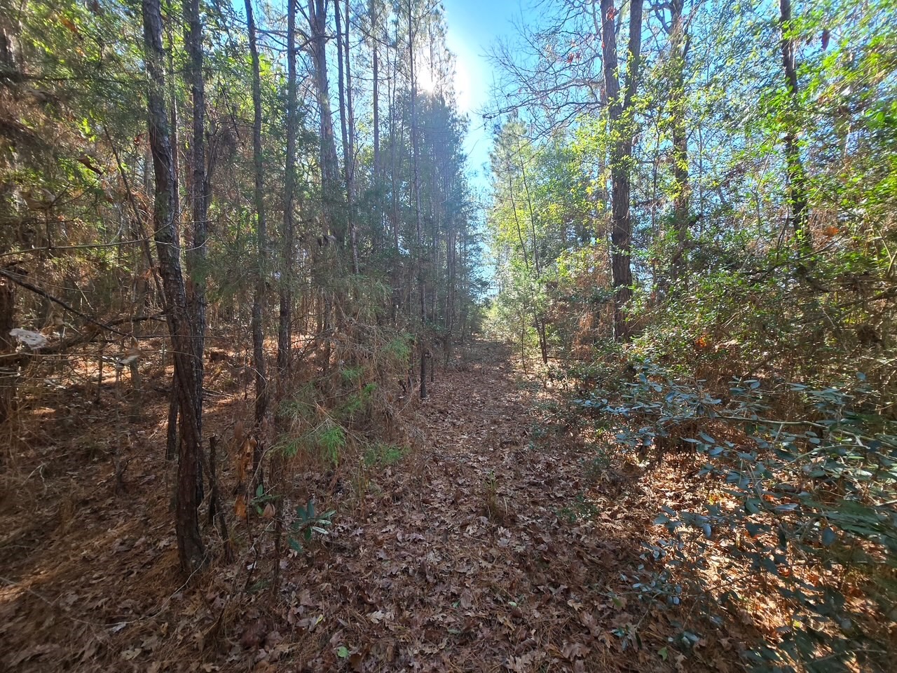 Tbd Private Road 5020 Property Photo 9