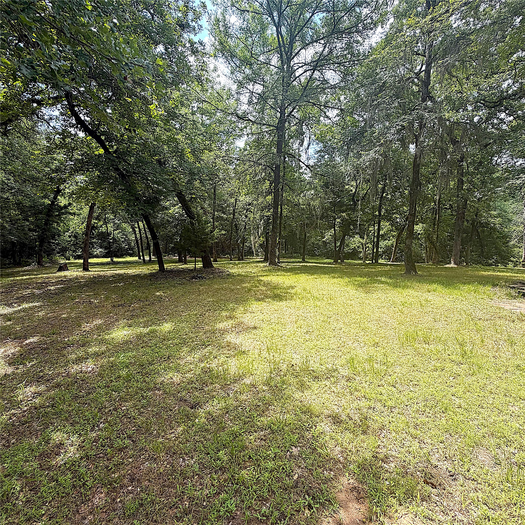 8788 Pr 1215 Property Photo 6