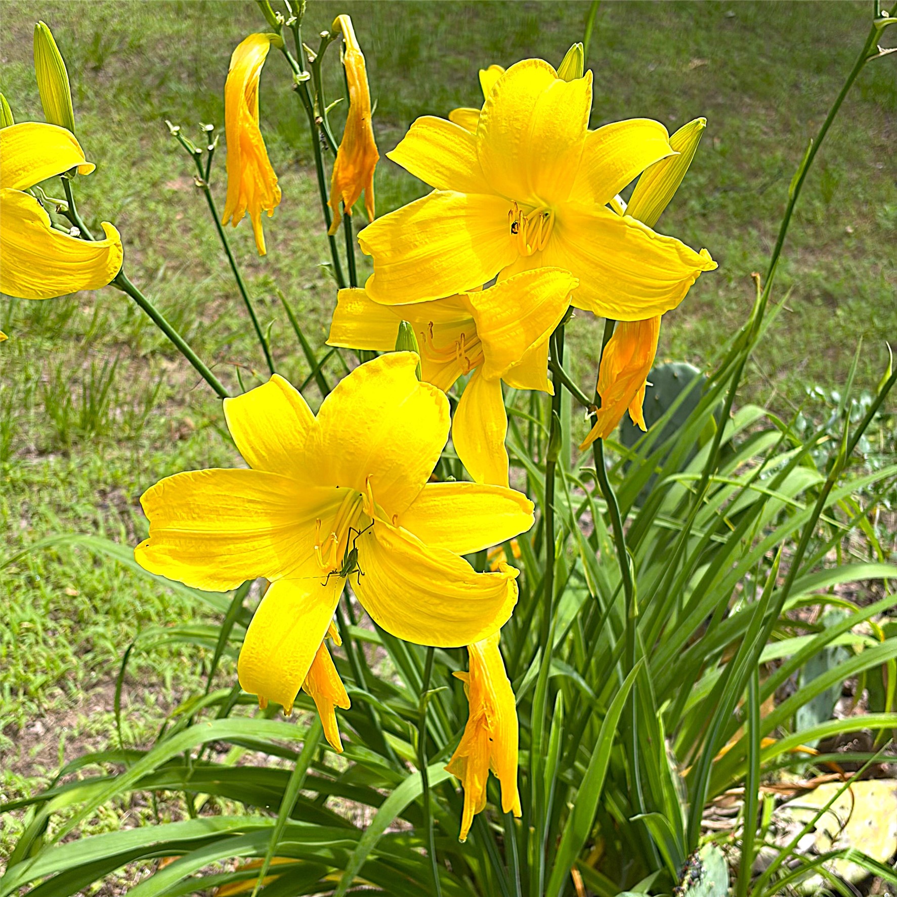 8788 Pr 1215 Property Photo 8