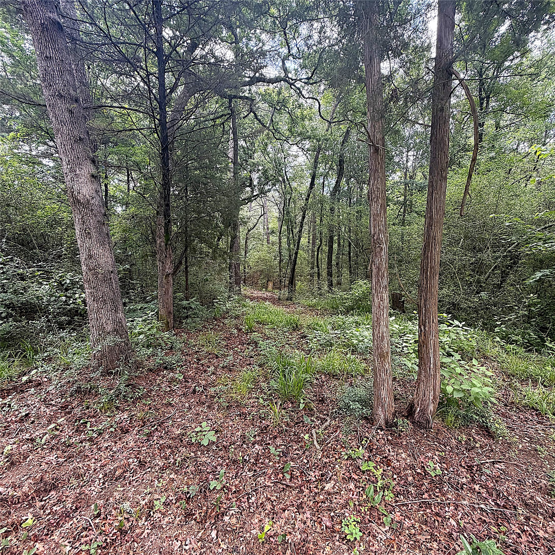 8788 Pr 1215 Property Photo 15