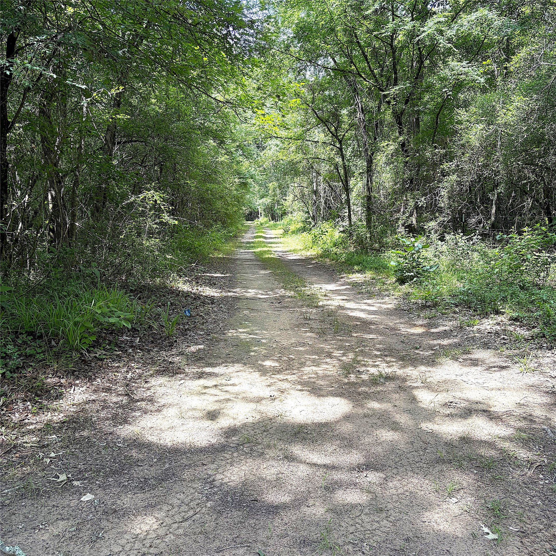 8788 Pr 1215 Property Photo 20