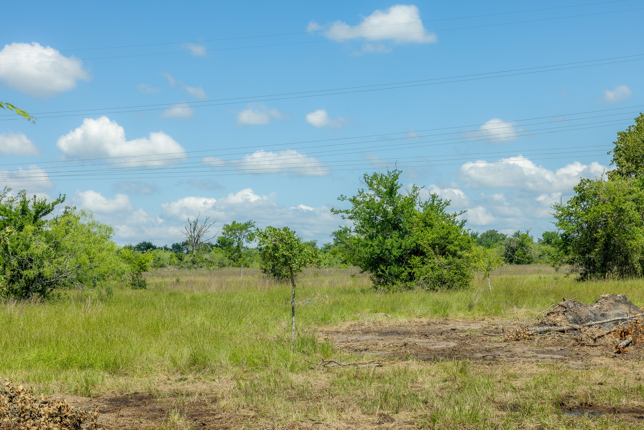 6549 Atakapan Trail Property Photo 1