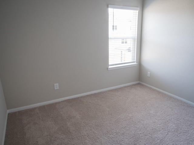 2533 Sturgeon Way Property Photo 22