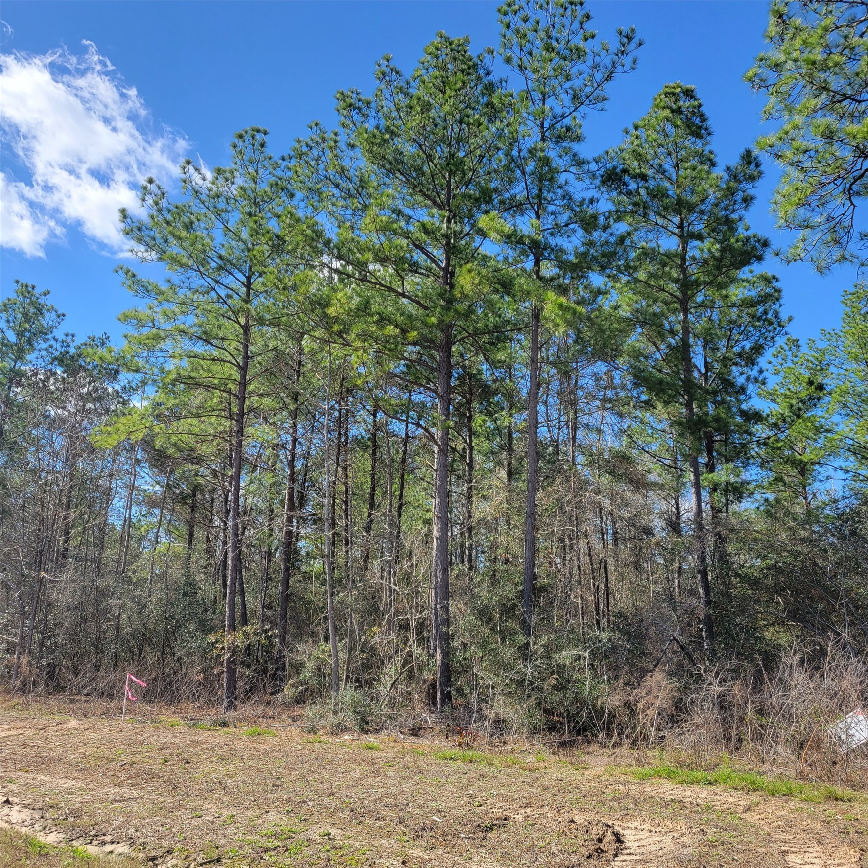 15835 Ridge Rock Road Property Photo 1