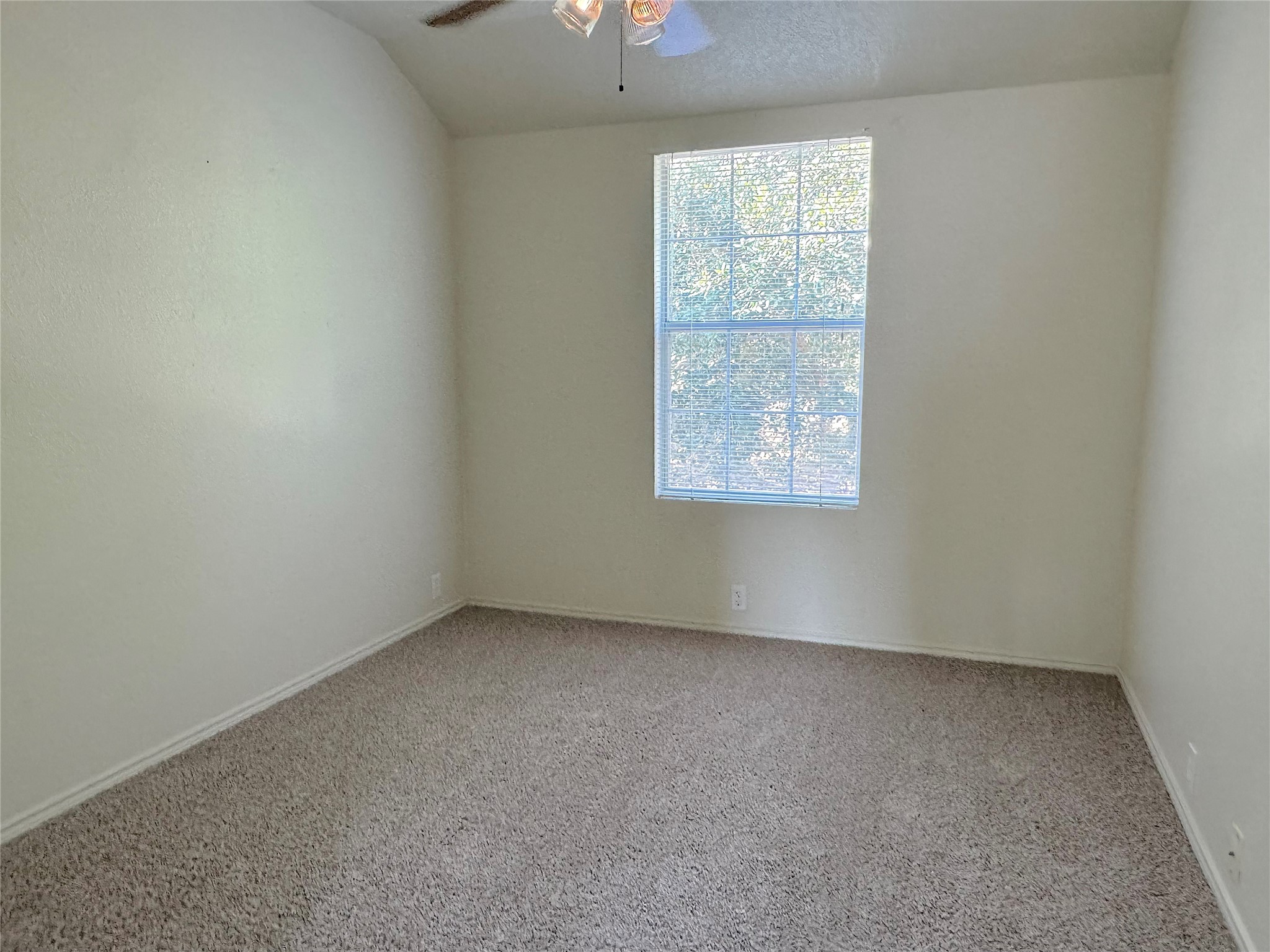 23822 Single Oak Street Property Photo 8
