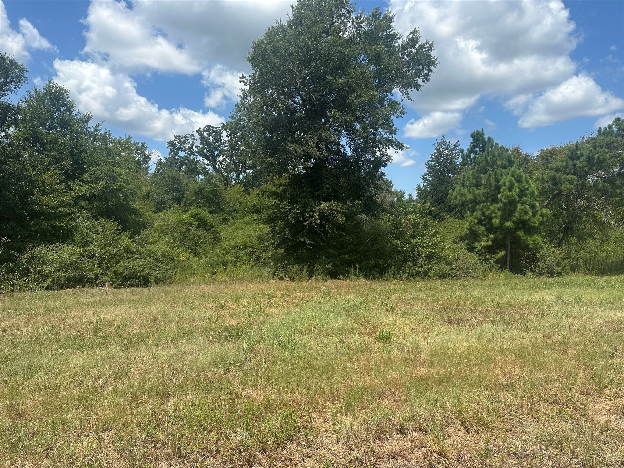 00 County Road 322 Property Photo 5