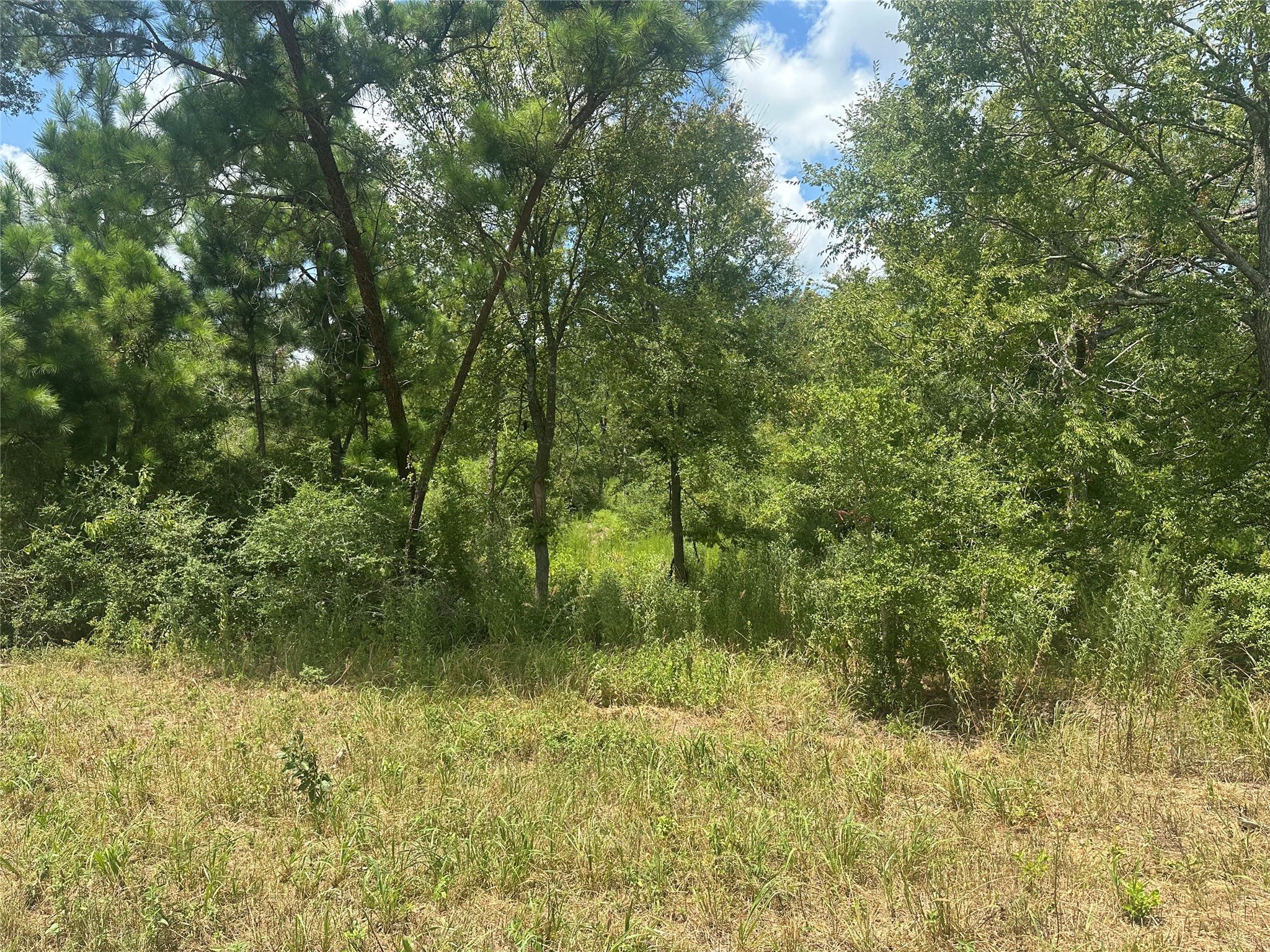 00 County Road 322 Property Photo 6