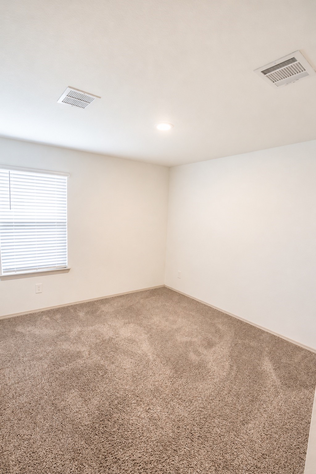 6745 Riplee Street Property Photo 7