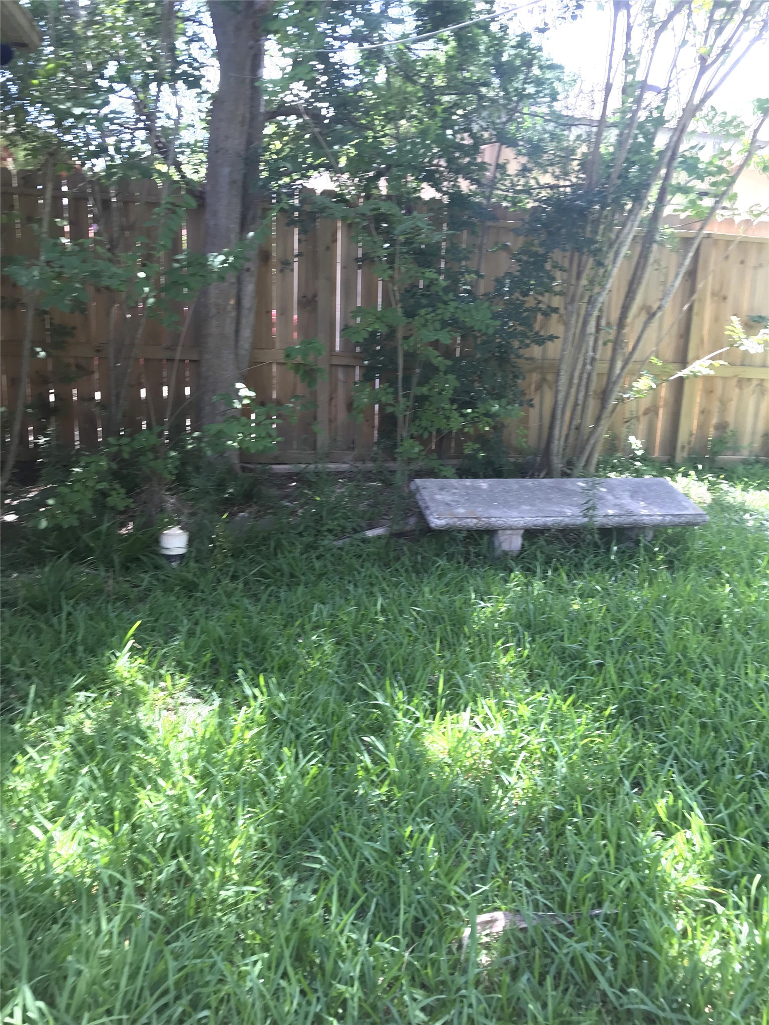 614 Live Oak Drive Property Photo 6