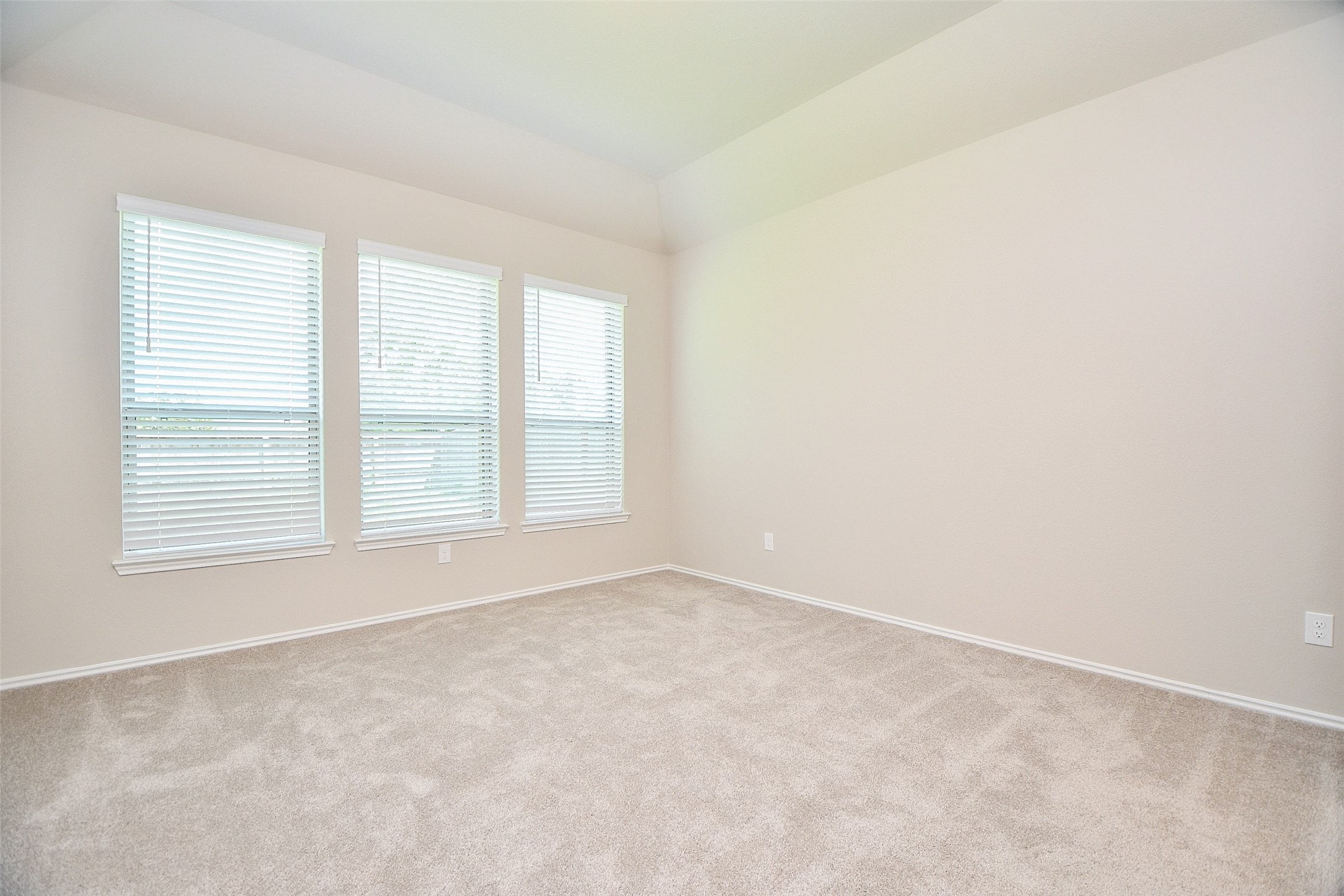 231 Bright Valley Way Property Photo 11