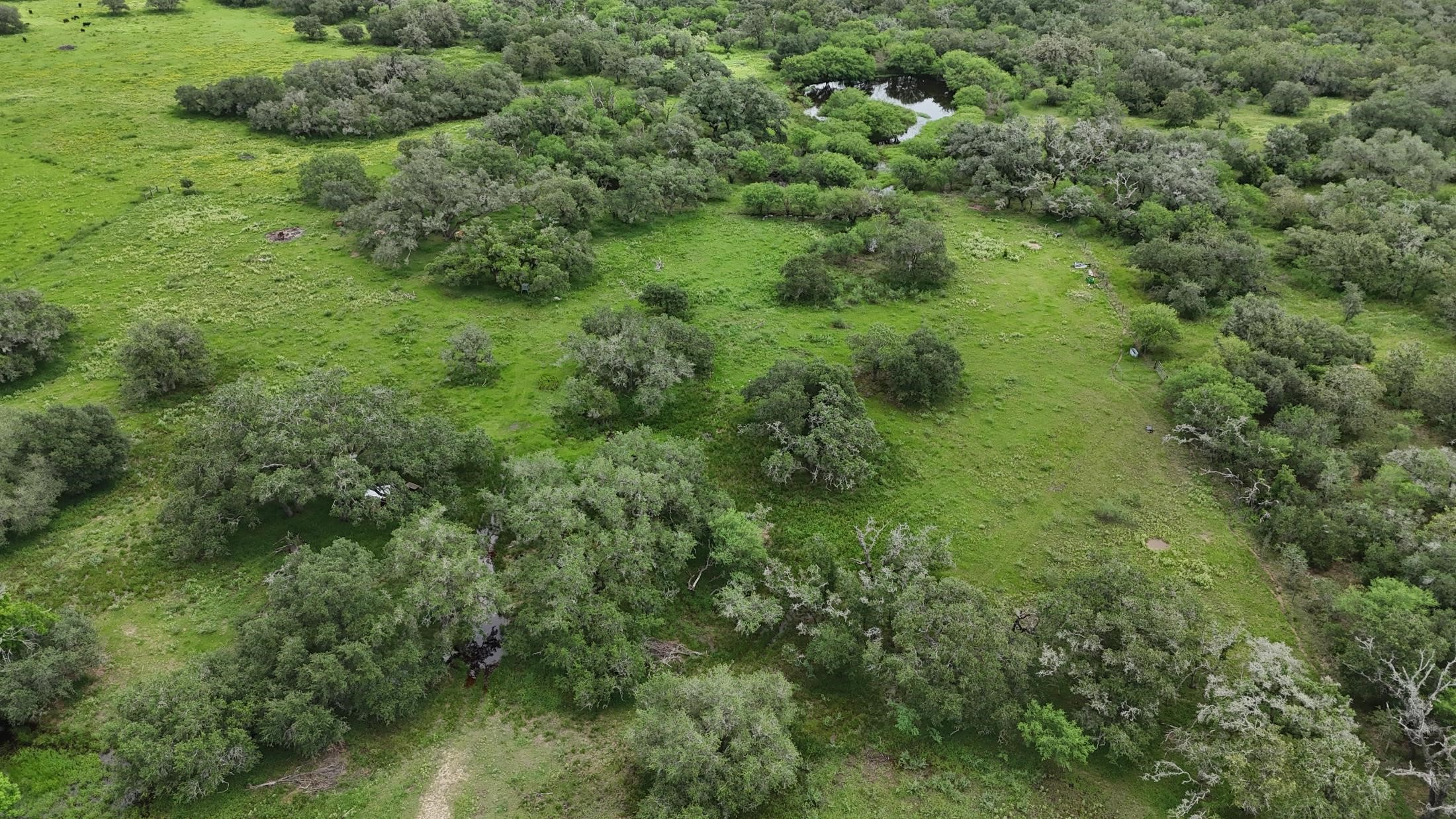 1385 Bego Road Property Photo 47
