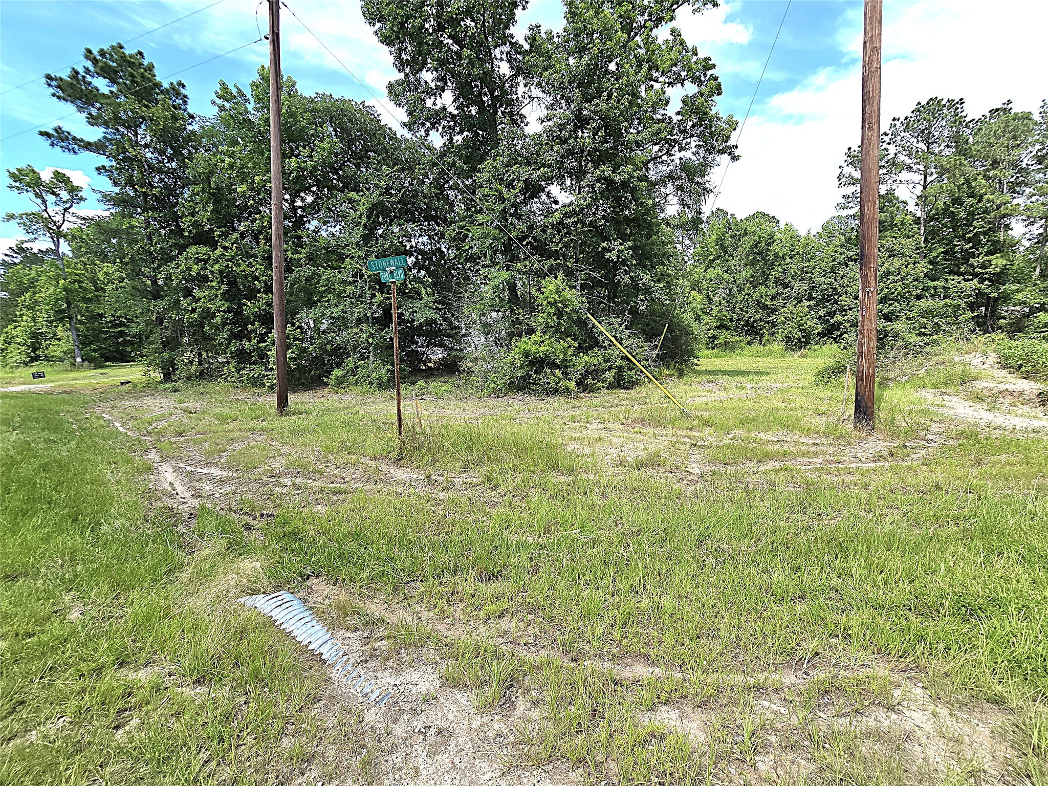 215 Buffalo Way Property Photo 16