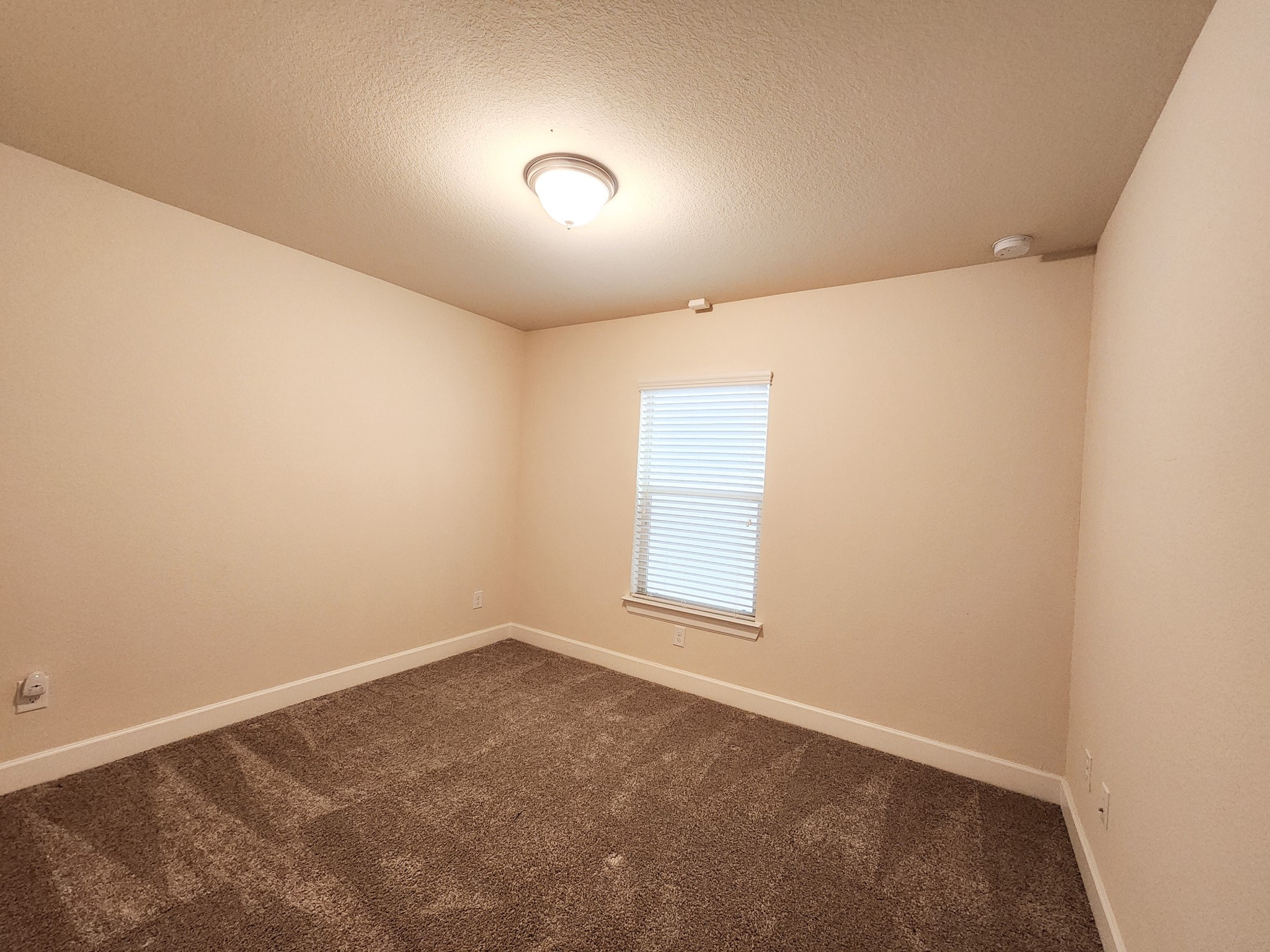10717 Madden Oaks Place Property Photo 6