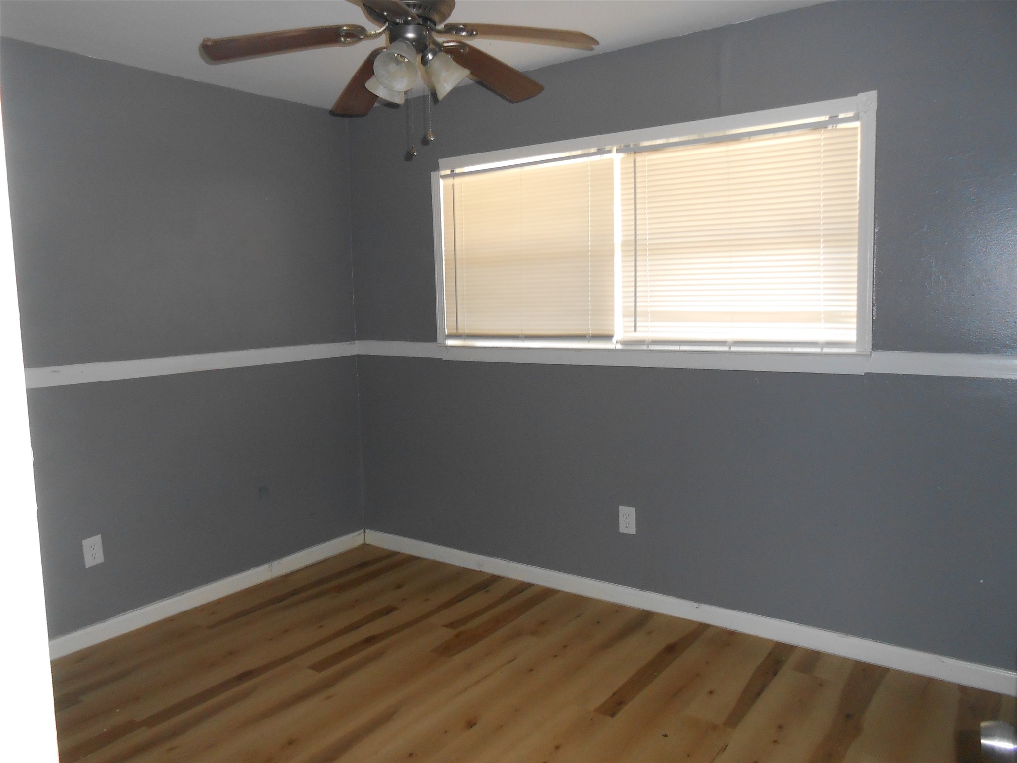 14503 Alrover Street Property Photo 11