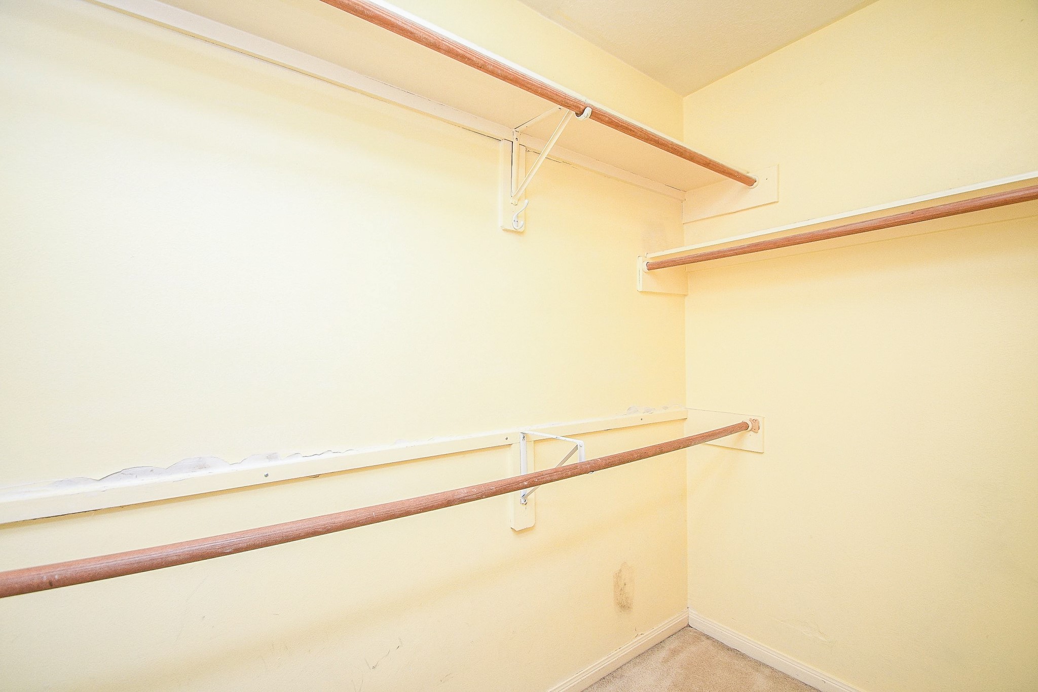 16035 Timber Chase Drive Property Photo 16