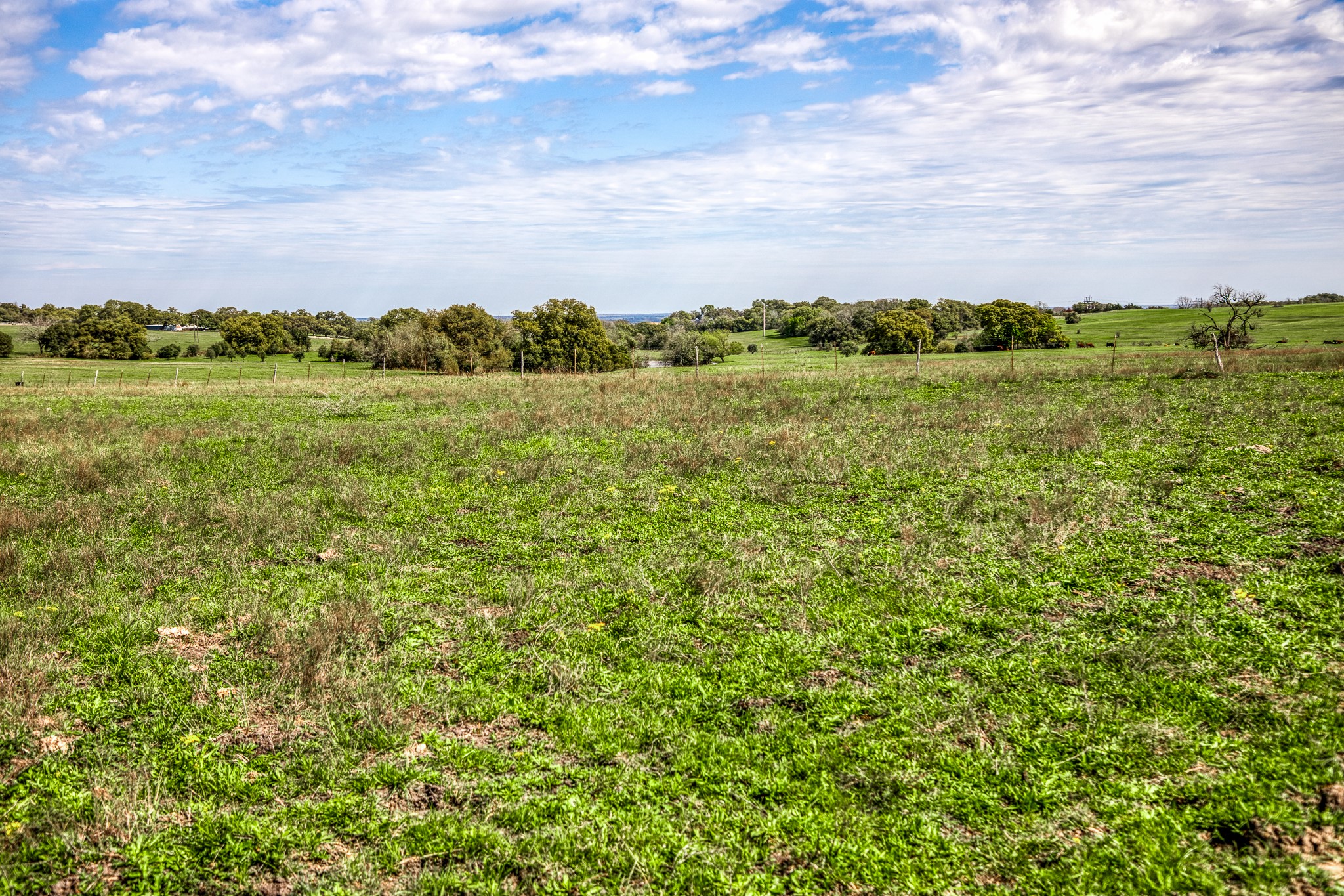 9502 Seward Plantation Road Property Photo 9