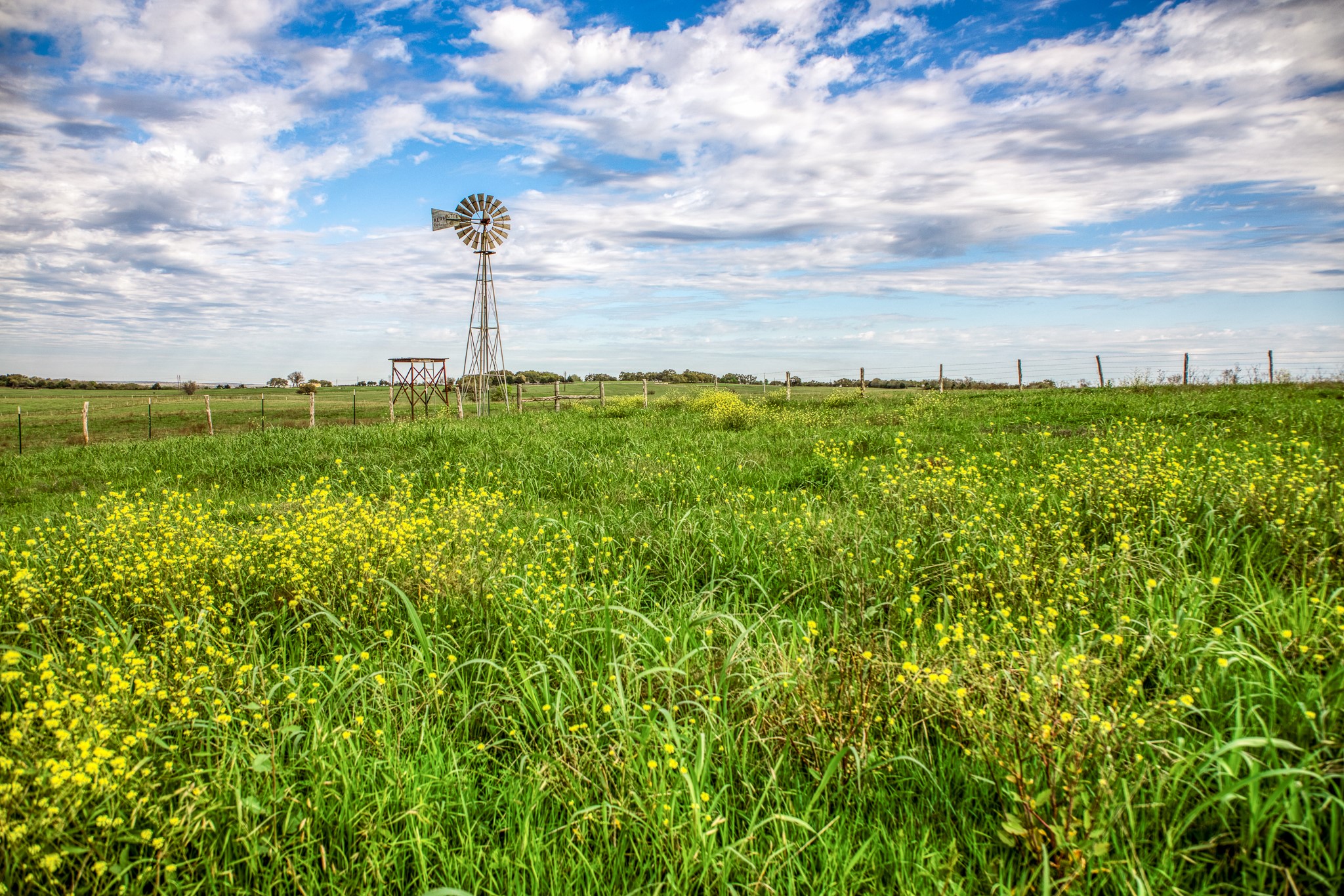 9502 Seward Plantation Road Property Photo 11