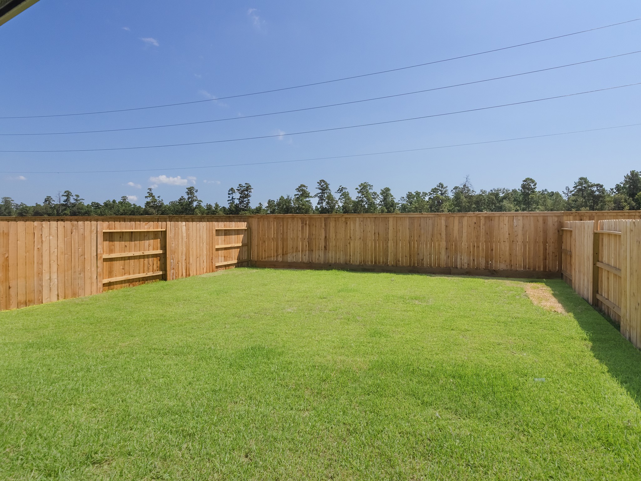 15881 Blass Valley Drive Drive Property Photo 35