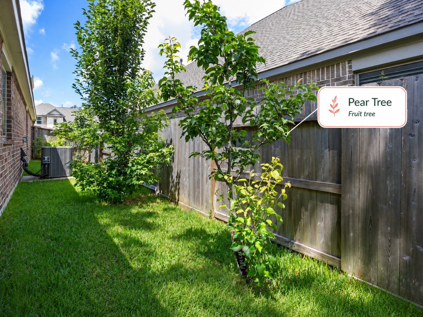 252 Scarlet Maple Way Property Photo 26