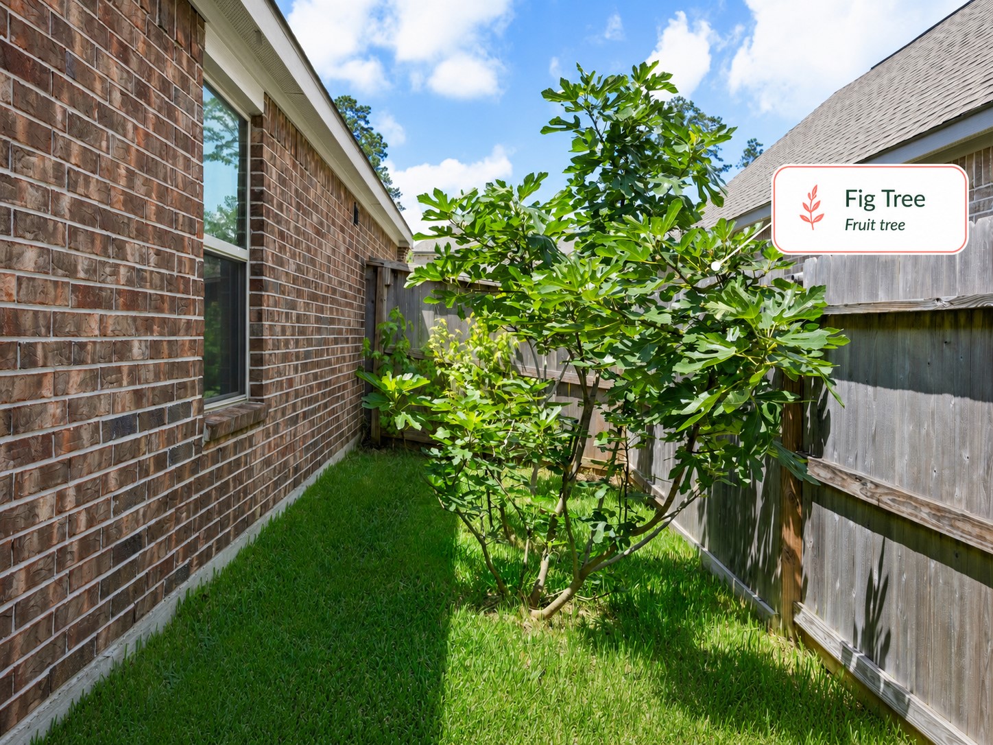 252 Scarlet Maple Way Property Photo 27