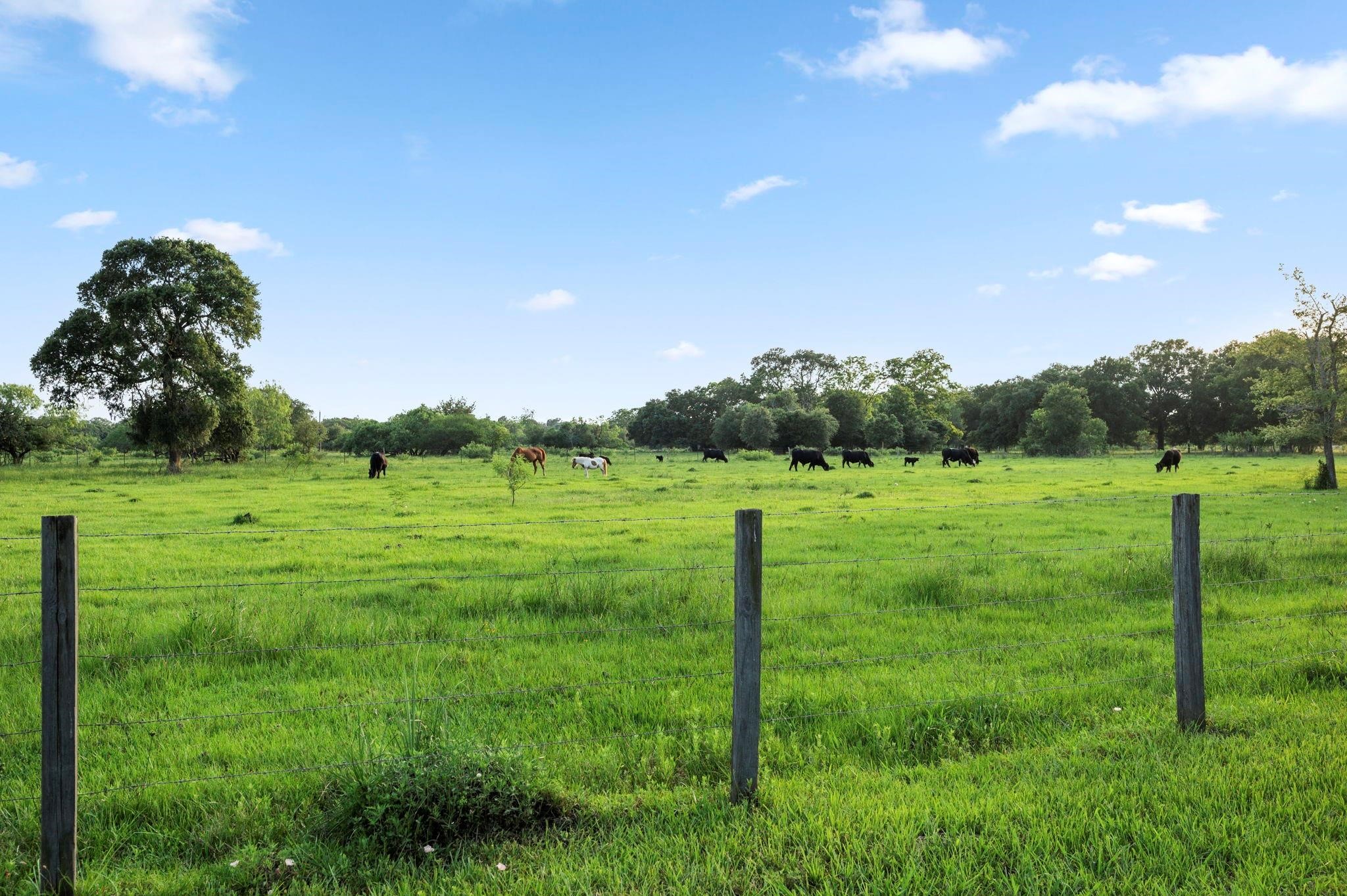 19245 Fm 442 Road Property Photo 5