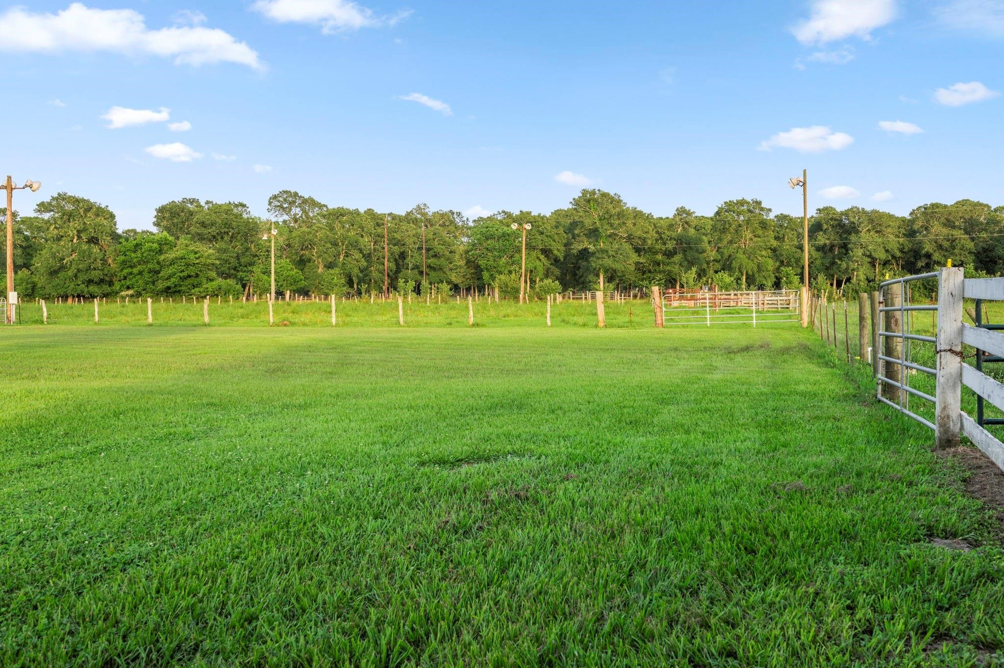 19245 Fm 442 Road Property Photo 46