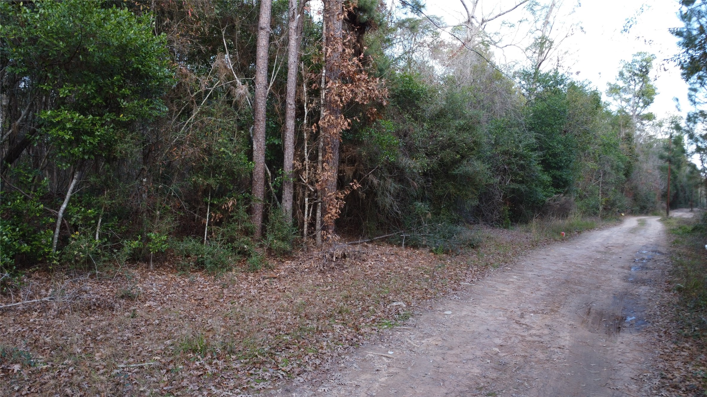 418 Road 2673 Property Photo 2