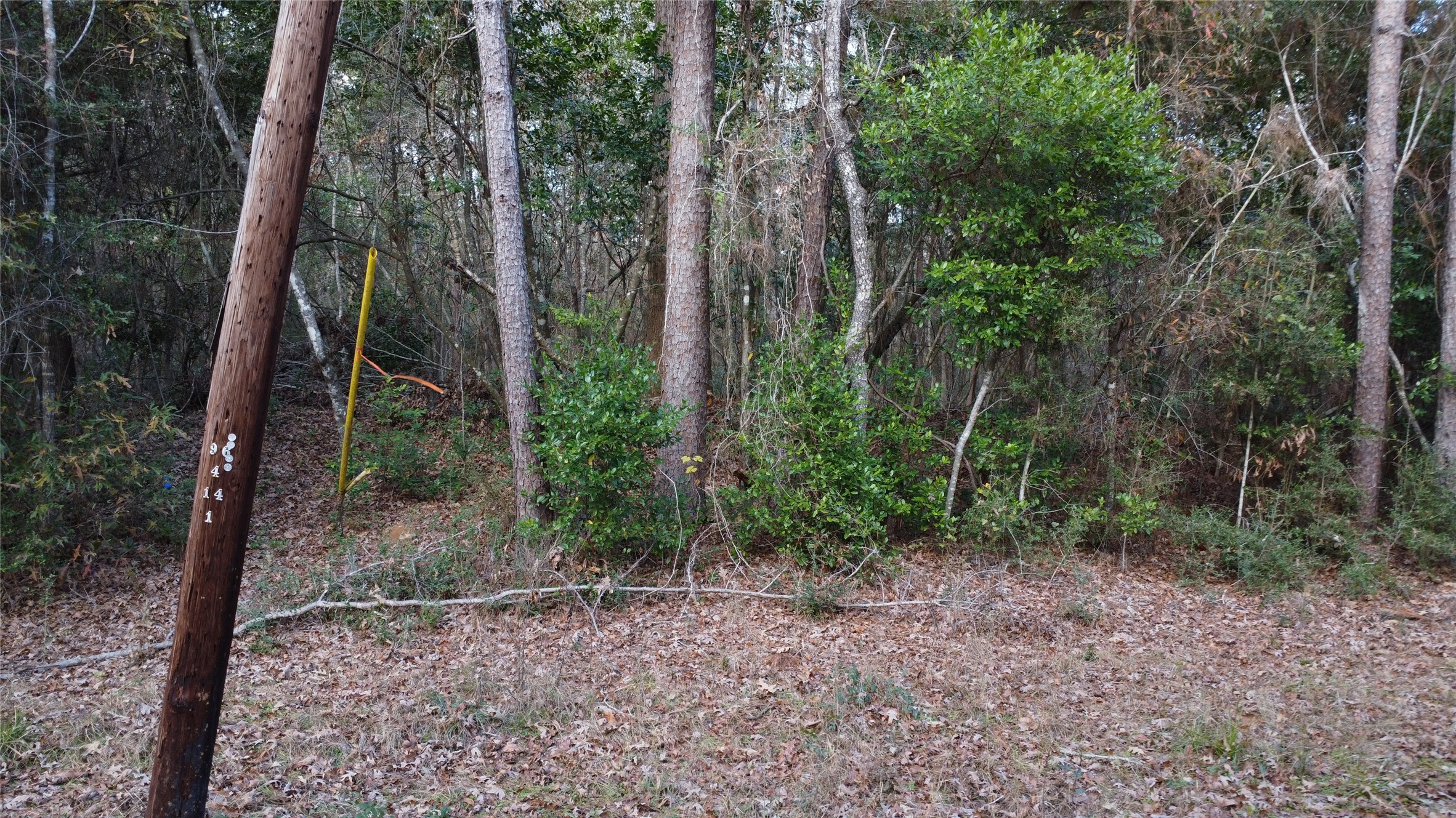 418 Road 2673 Property Photo 4