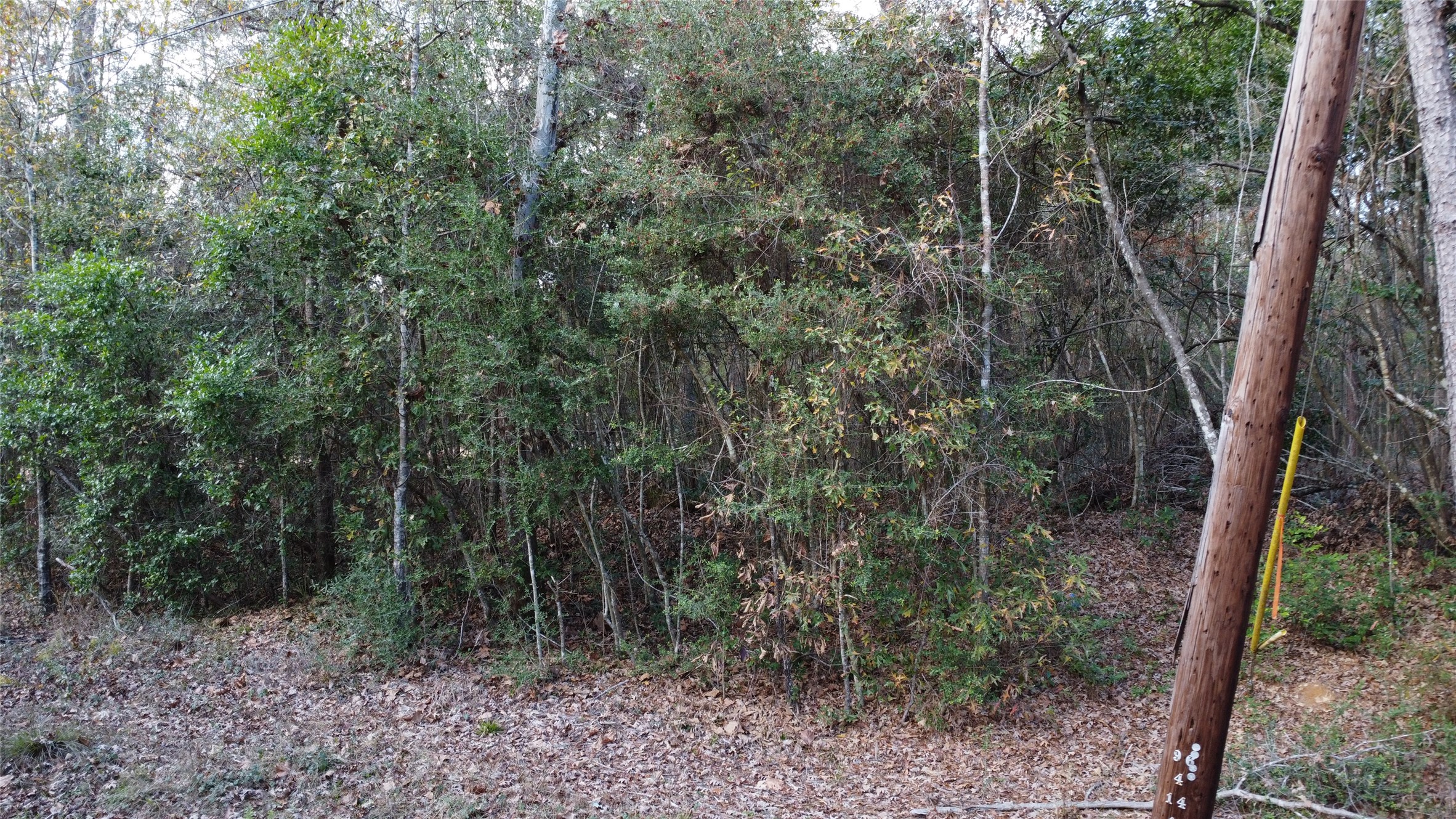 418 Road 2673 Property Photo 6