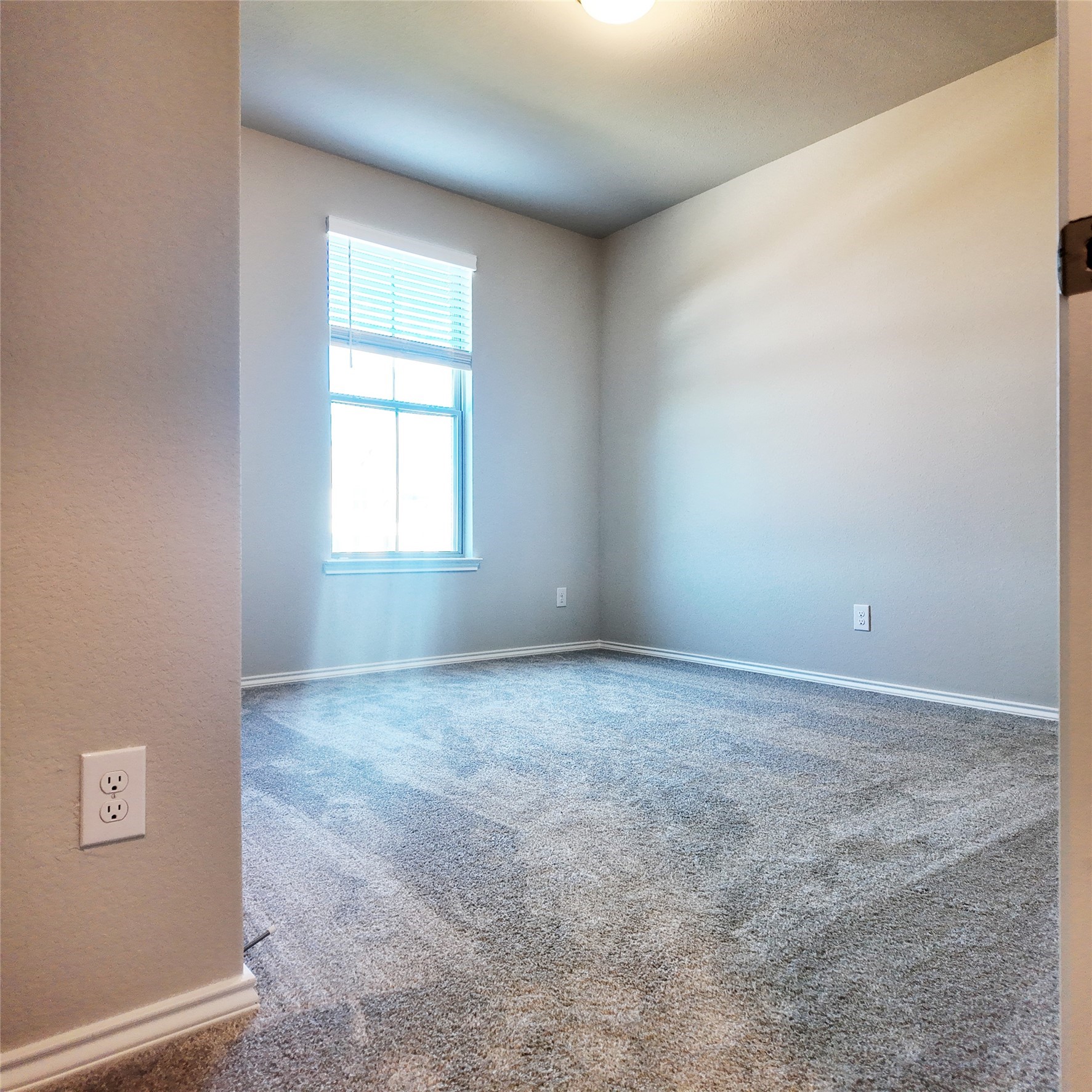 42581 Edmund Rucker Lane Property Photo 18
