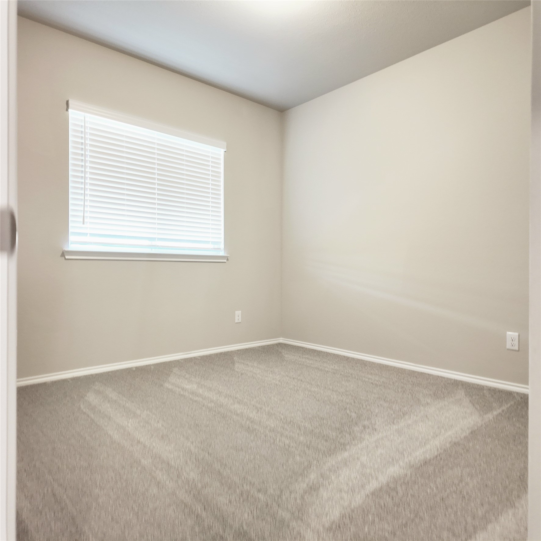 42581 Edmund Rucker Lane Property Photo 19