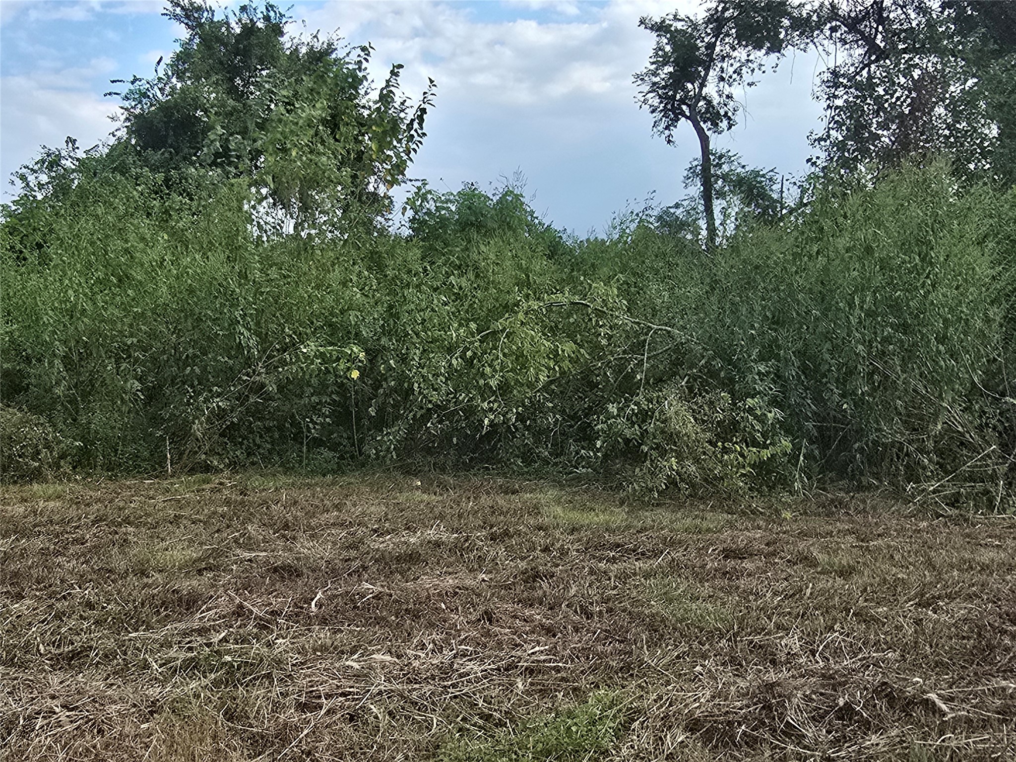 9203 W Montgomery Road Property Photo 2