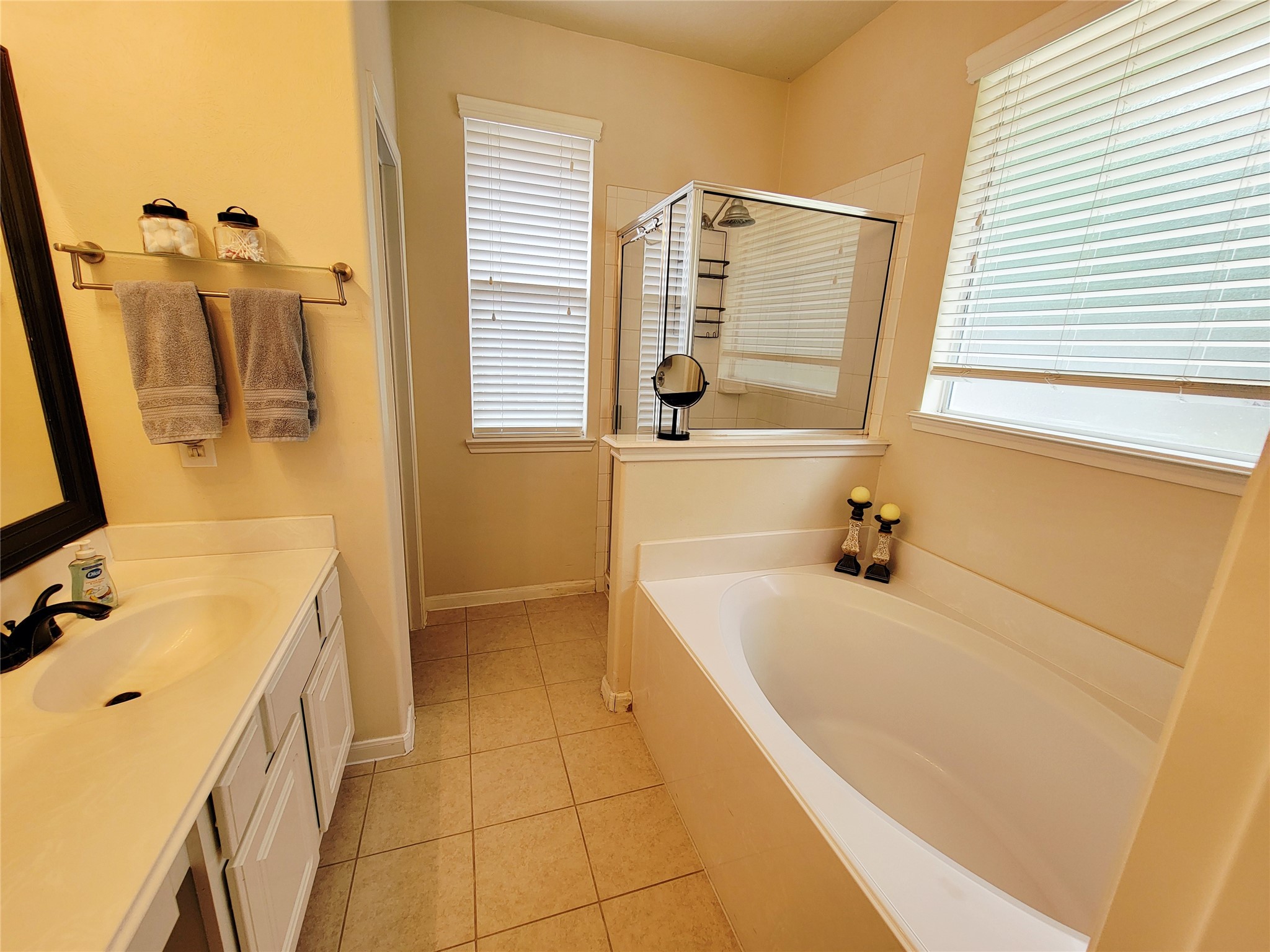 24606 Twisted Birch Court Property Photo 15